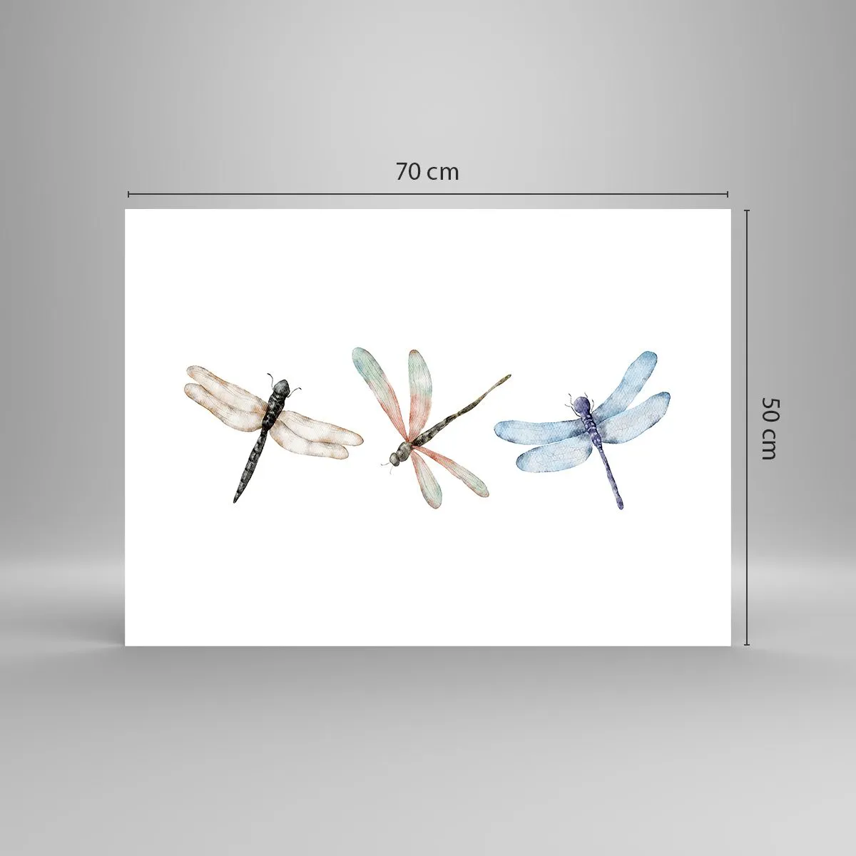 Poszter - Súlytalan szitakötők - 70x50 cm