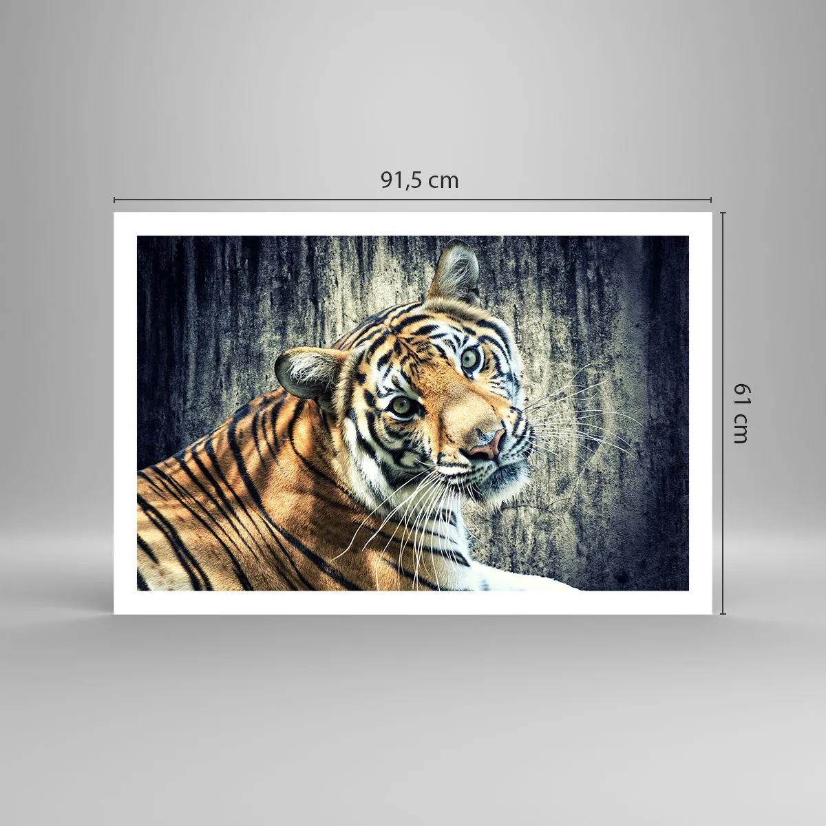 Poster - Portrait in Rays of Light - 91x61 cm