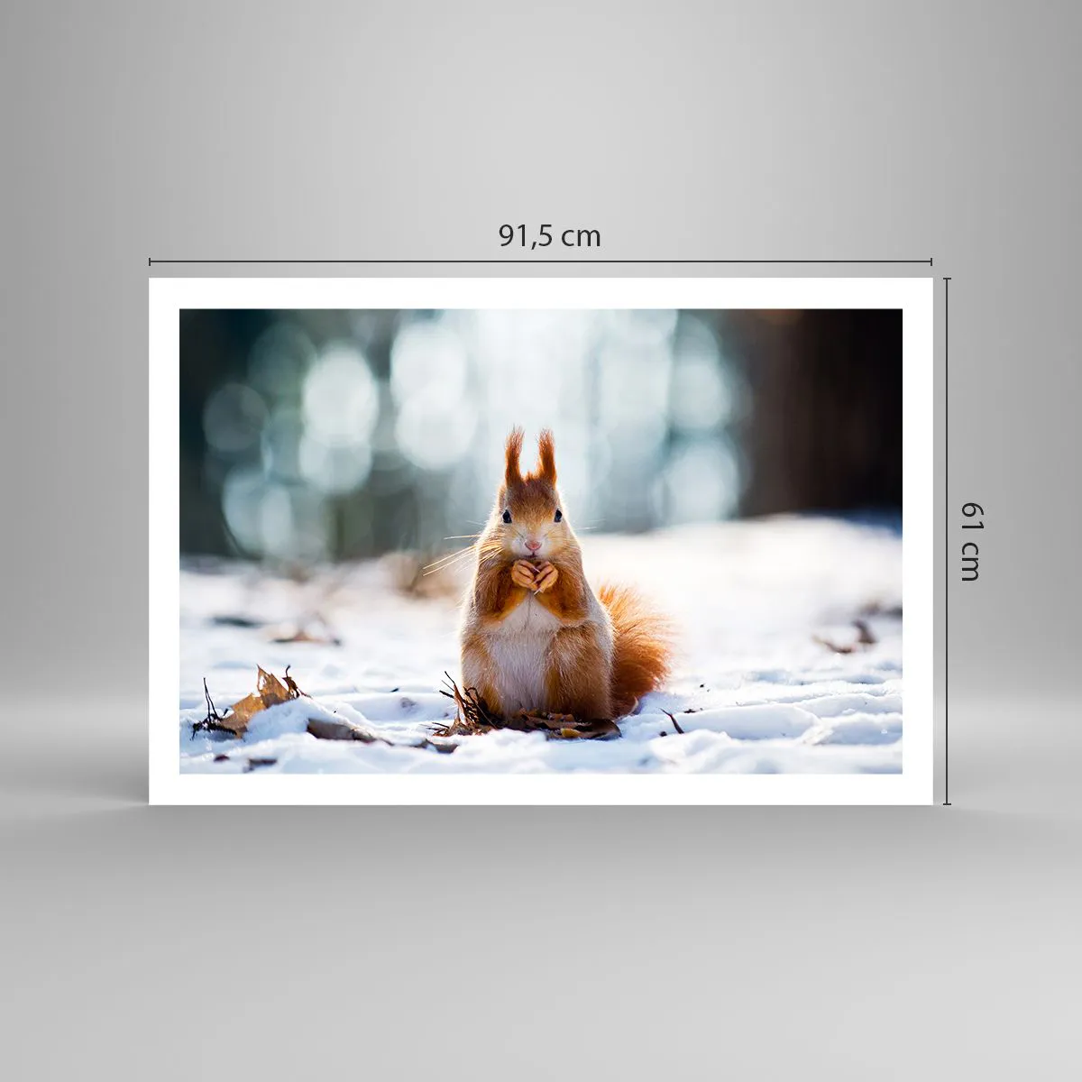 Plakat - Og hvad kigger du på? - 91x61 cm