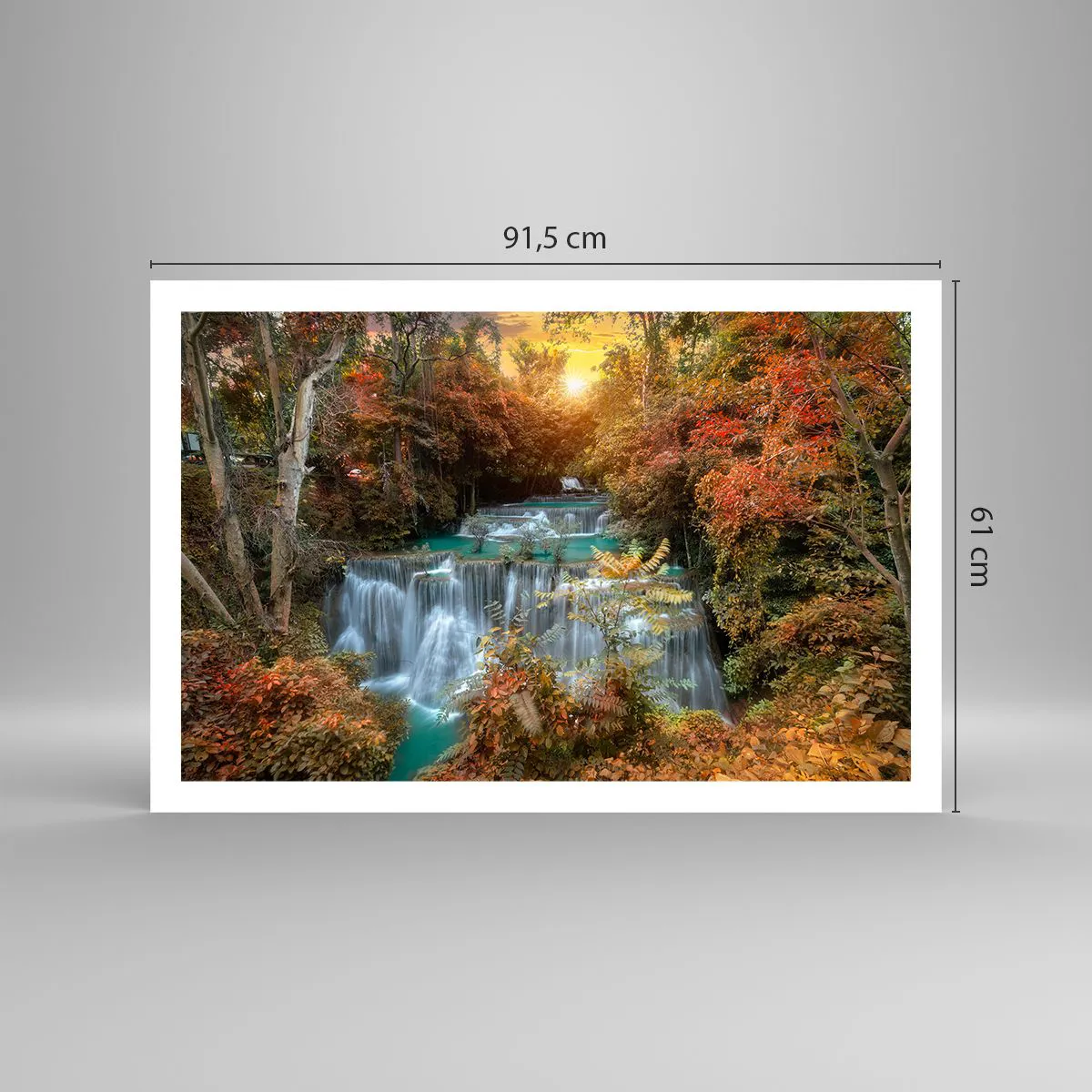 Plakat - Ukryty skarb lasu - 91x61 cm