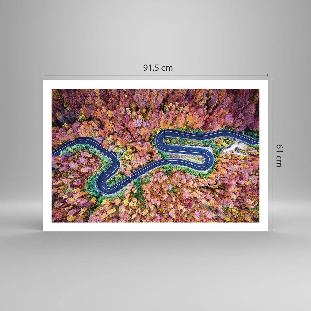 Affiche - Poster - Route sinueuse à travers la forêt - 91x61 cm