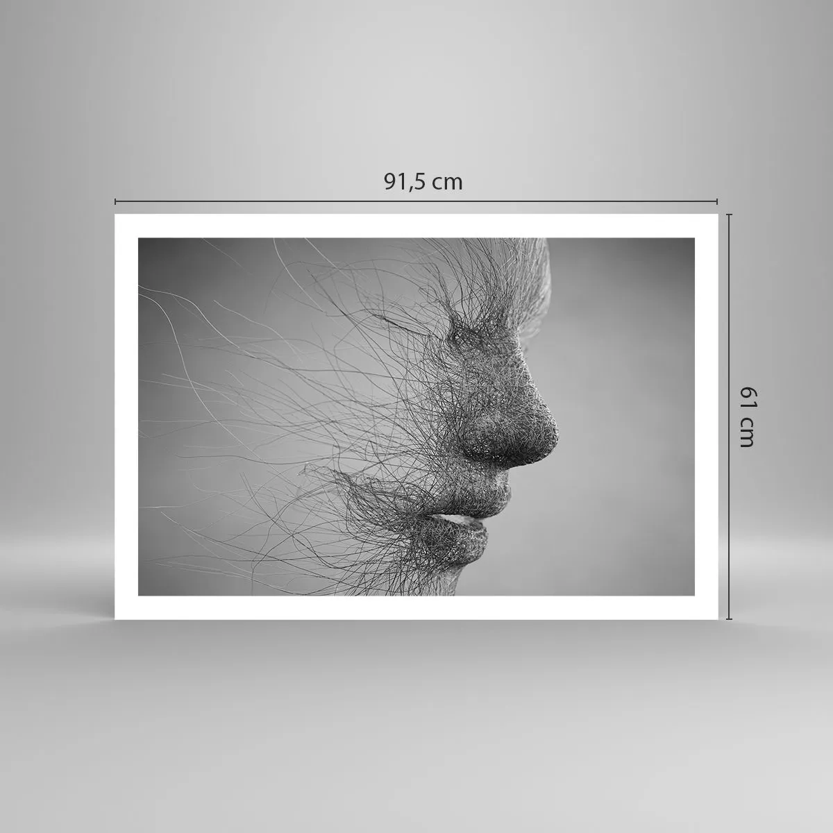 Affiche - Poster - L'esprit du vent - 91x61 cm