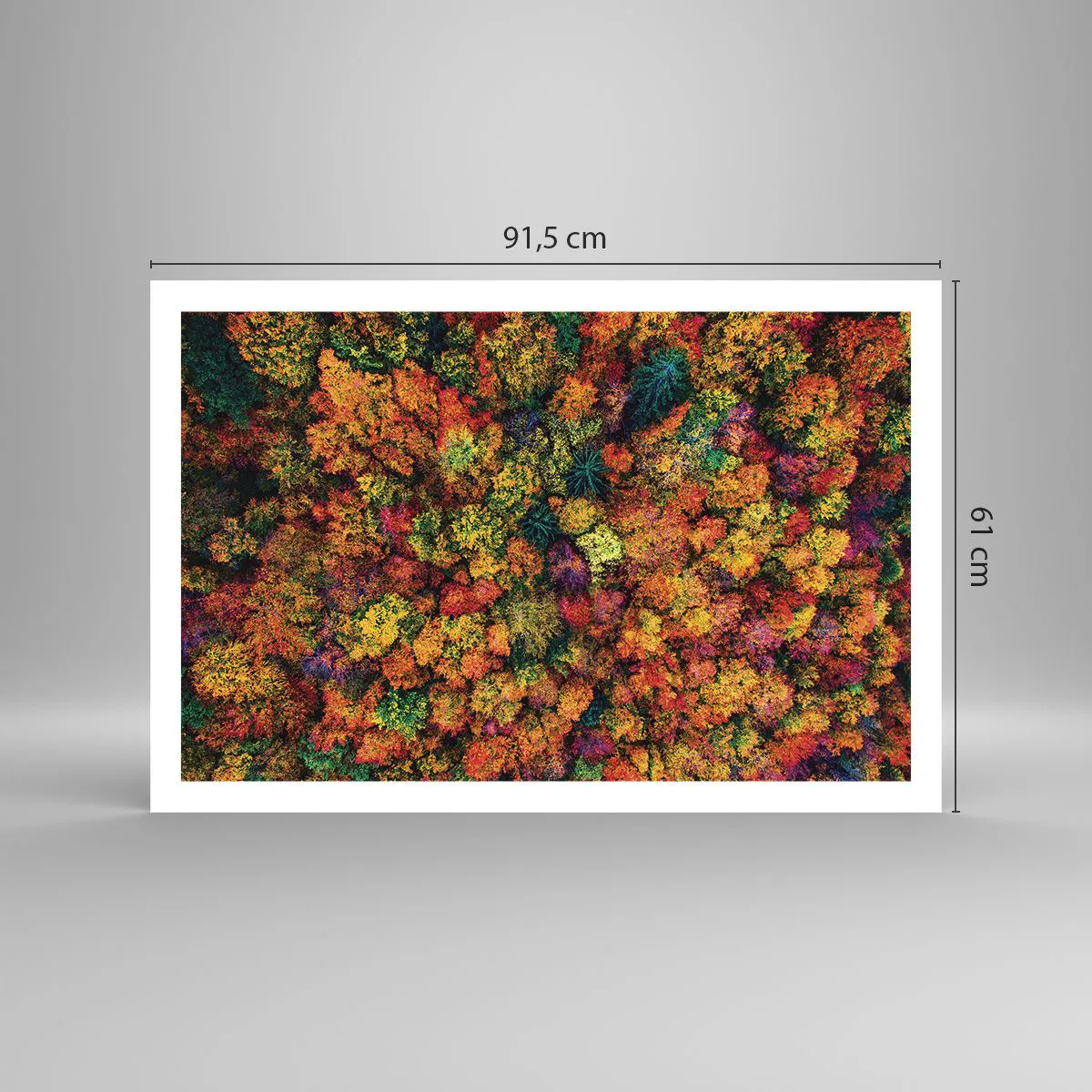 Plakát - Kytice podzimních stromů - 91x61 cm