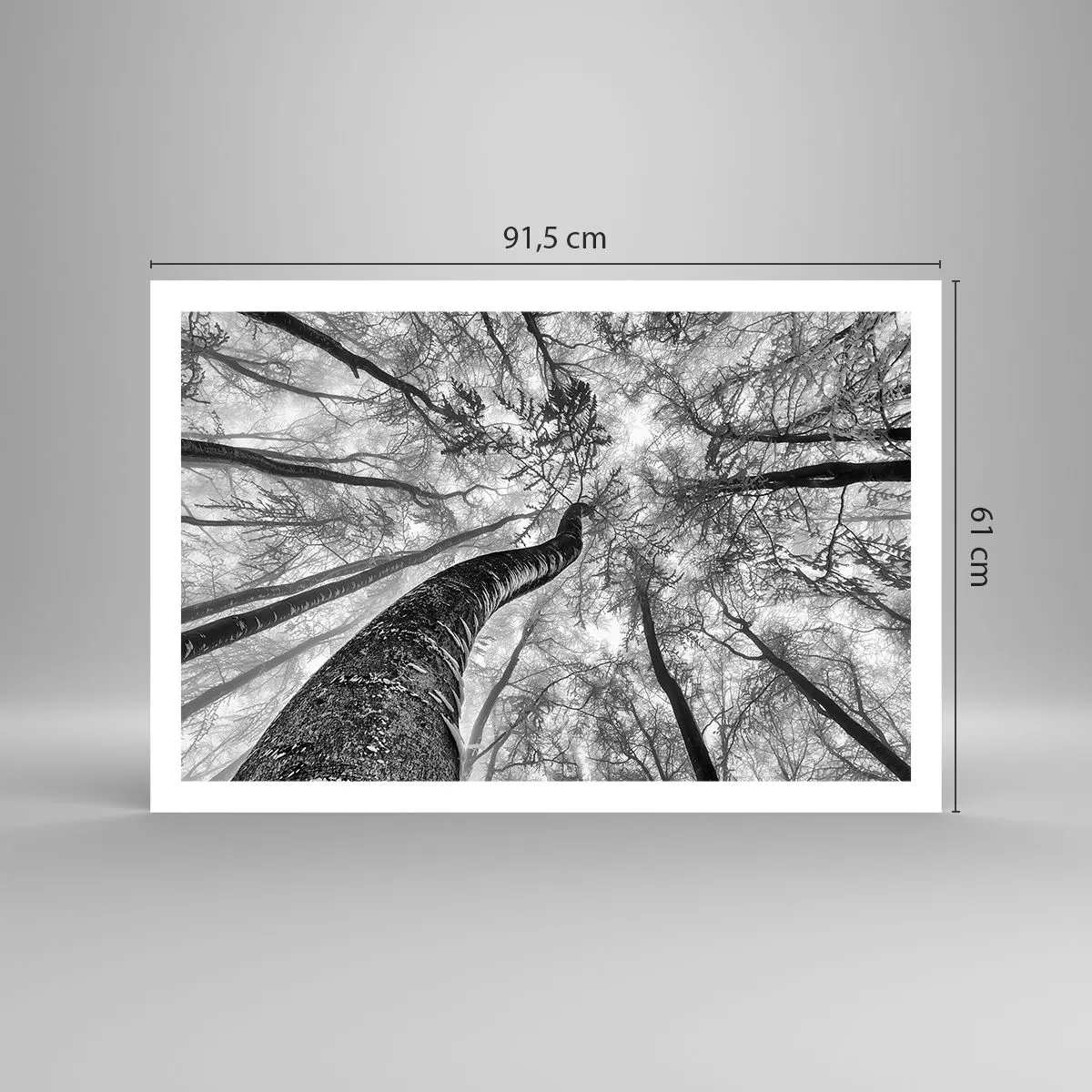 Poster - Race for the Light - 91x61 cm