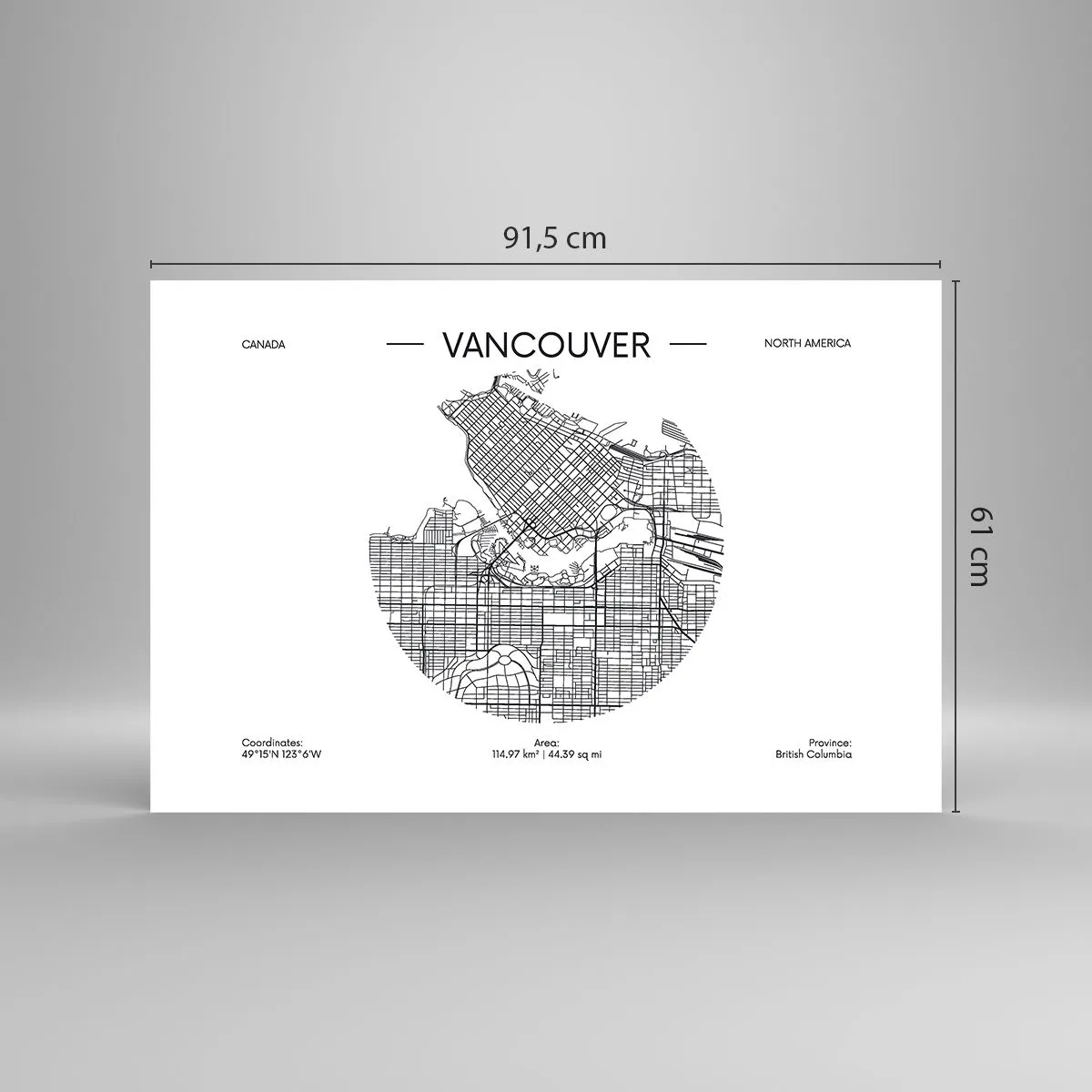 Poster - Anatomia Vacouverului - 91x61 cm