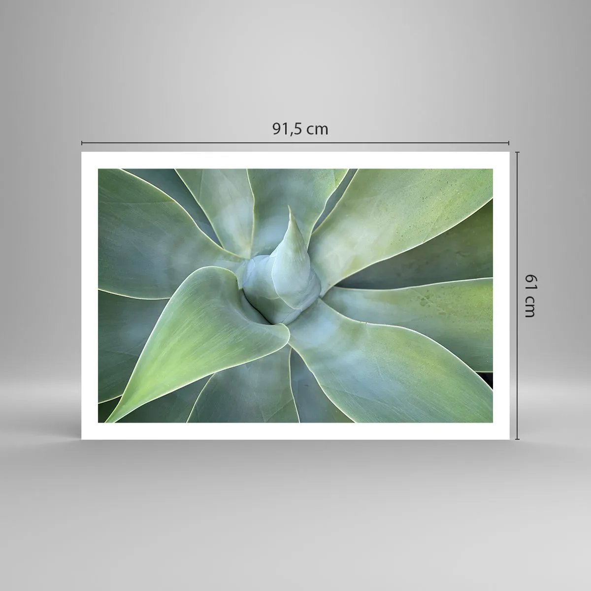 Póster - El nacimiento del verde - 91x61 cm