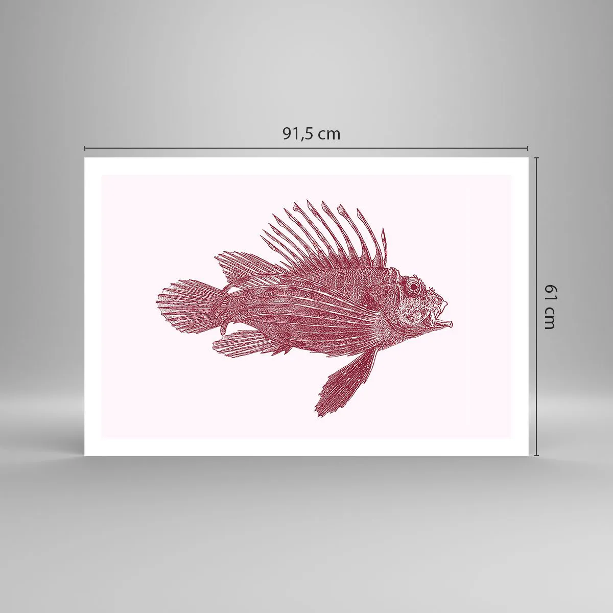 Plakat - En beboer i eksotiske farvande - 91x61 cm