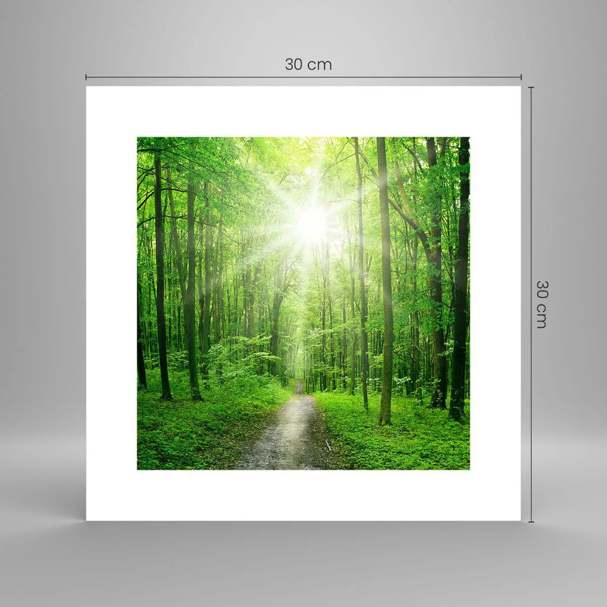 Póster - Catedral verde - 30x30 cm