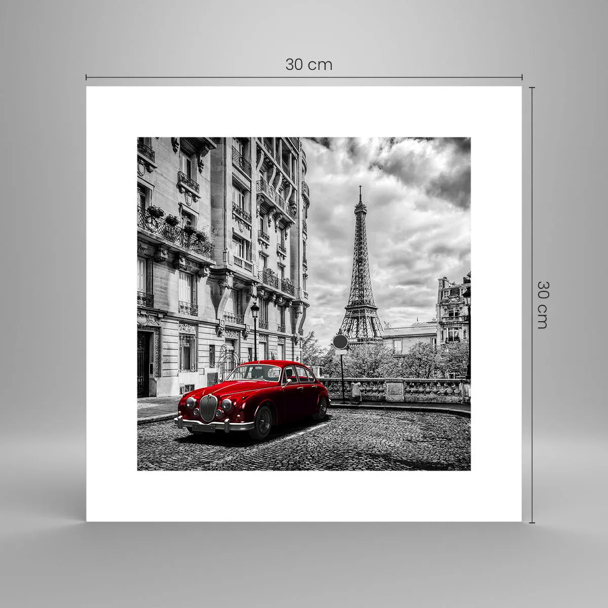 Plakát - Dravec ve městě - 30x30 cm