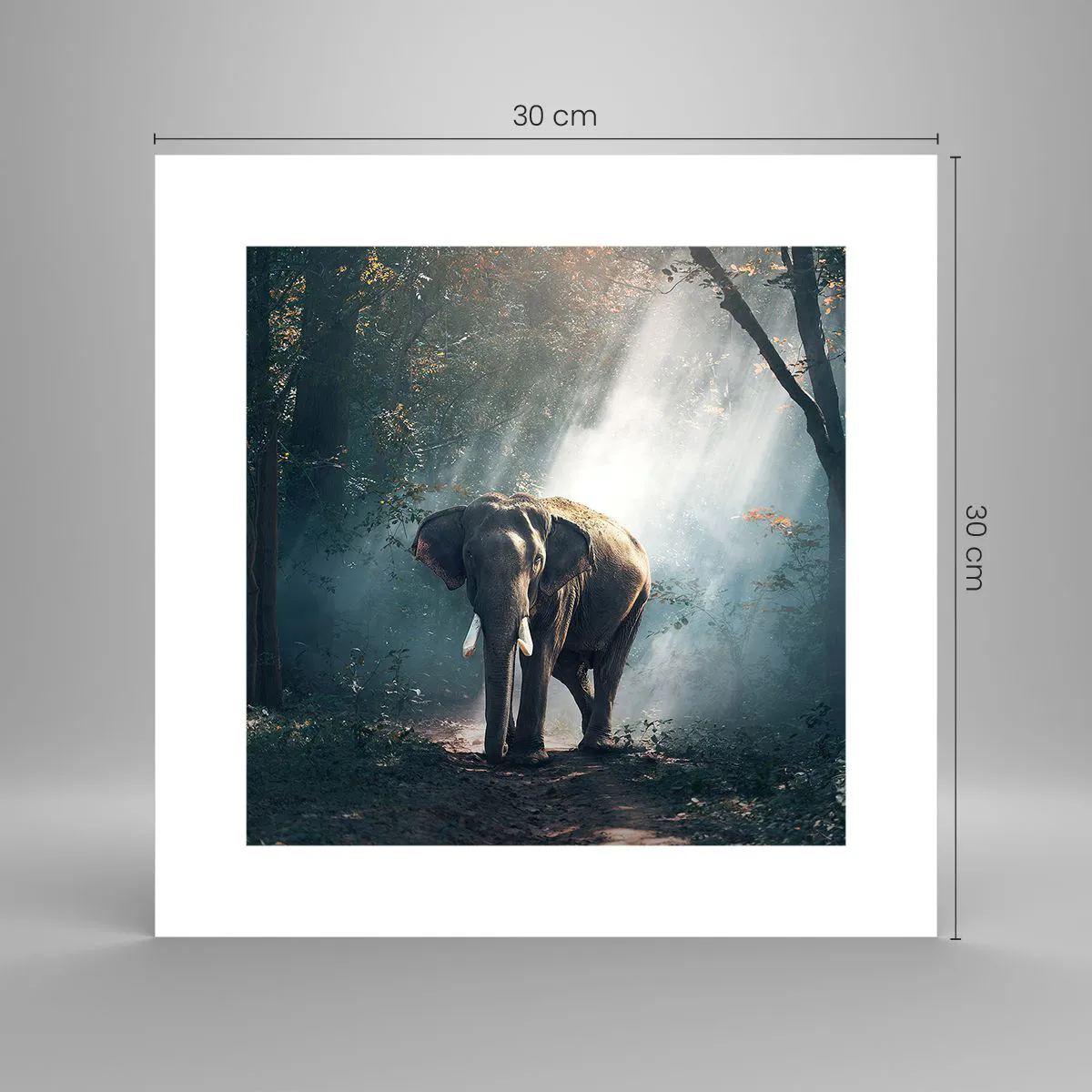 Poster - Quiet Stroll - 30x30 cm