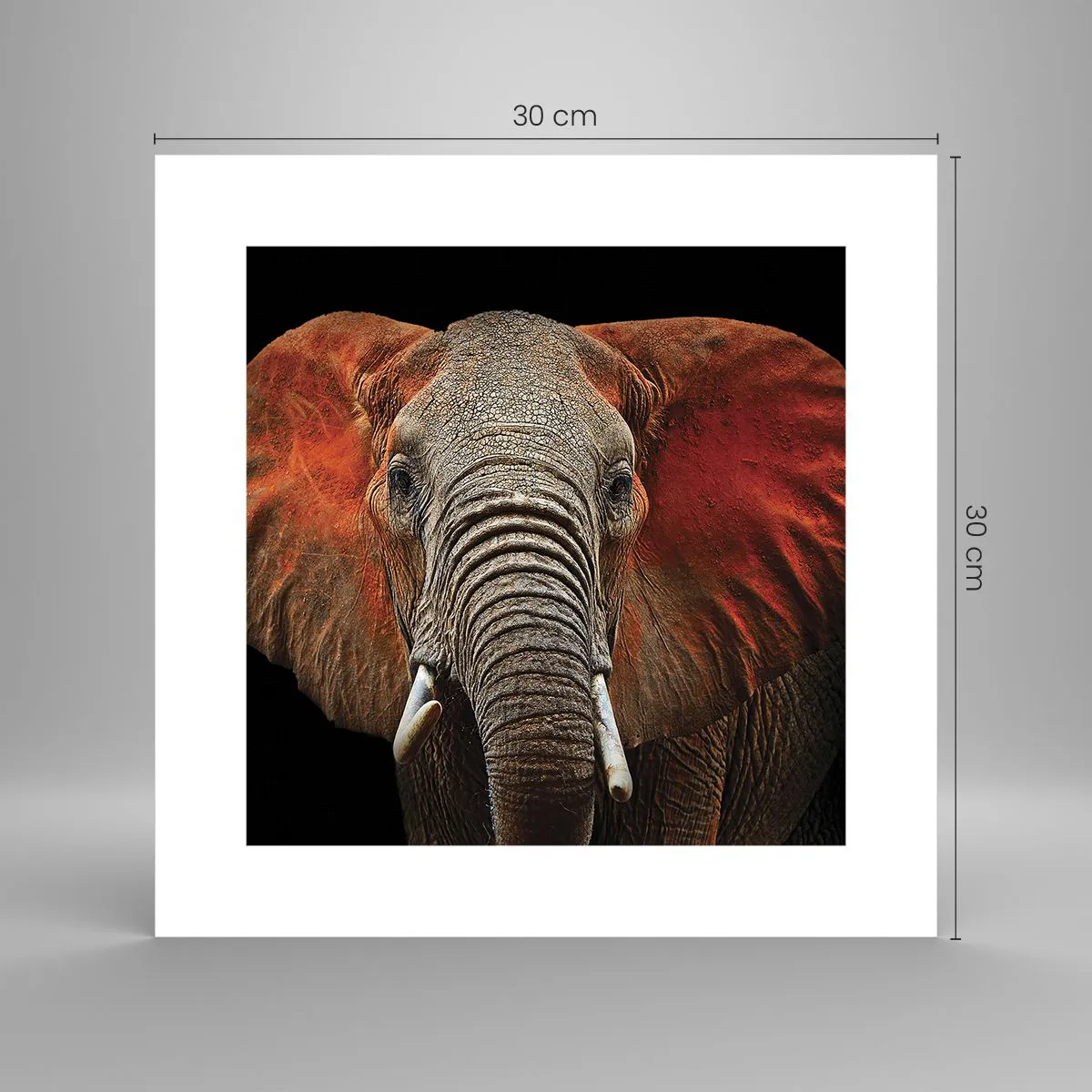 Affiche - Poster - Je suis sauvage, et toi? - 30x30 cm