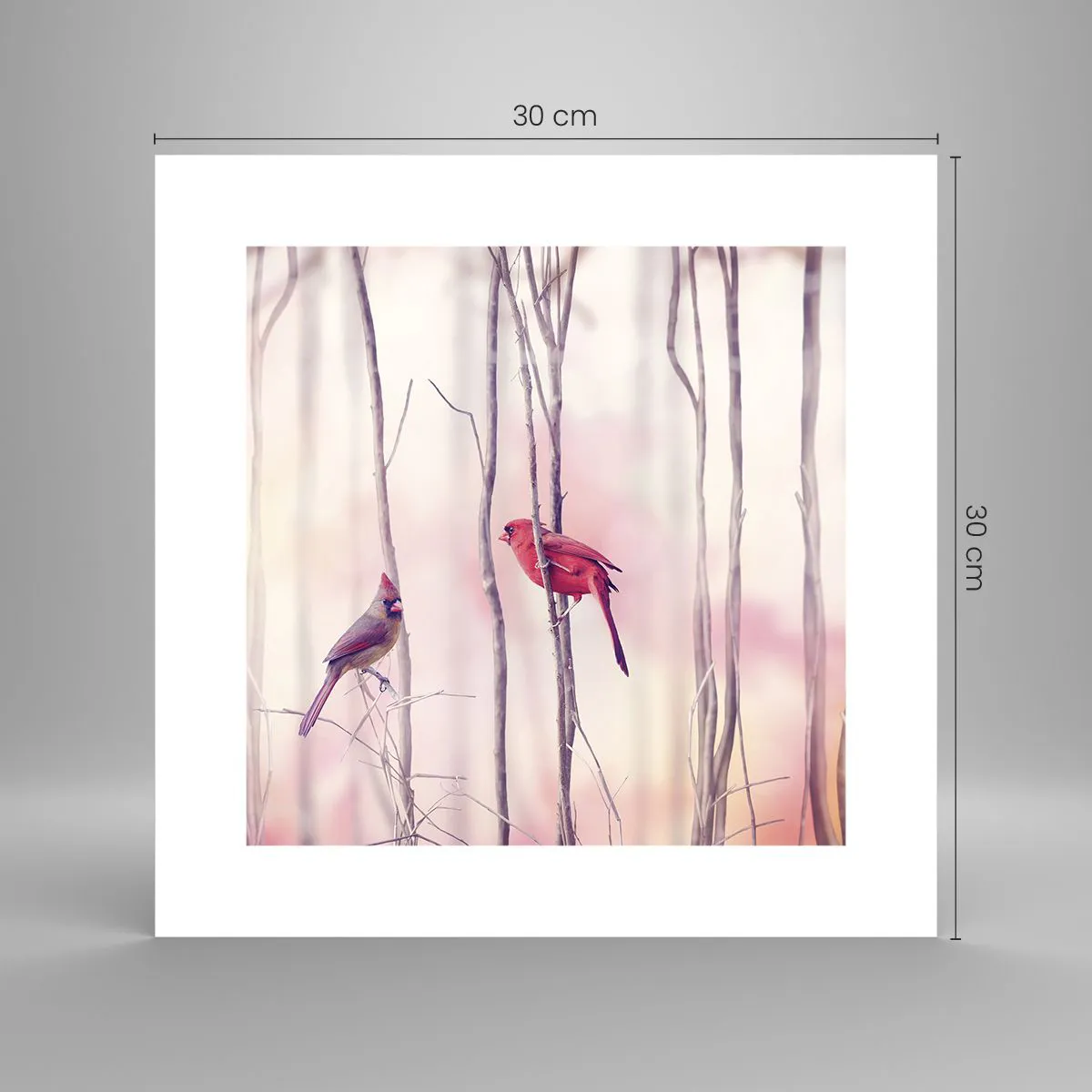 Plakat - Fortællingen om den lyserøde skov - 30x30 cm