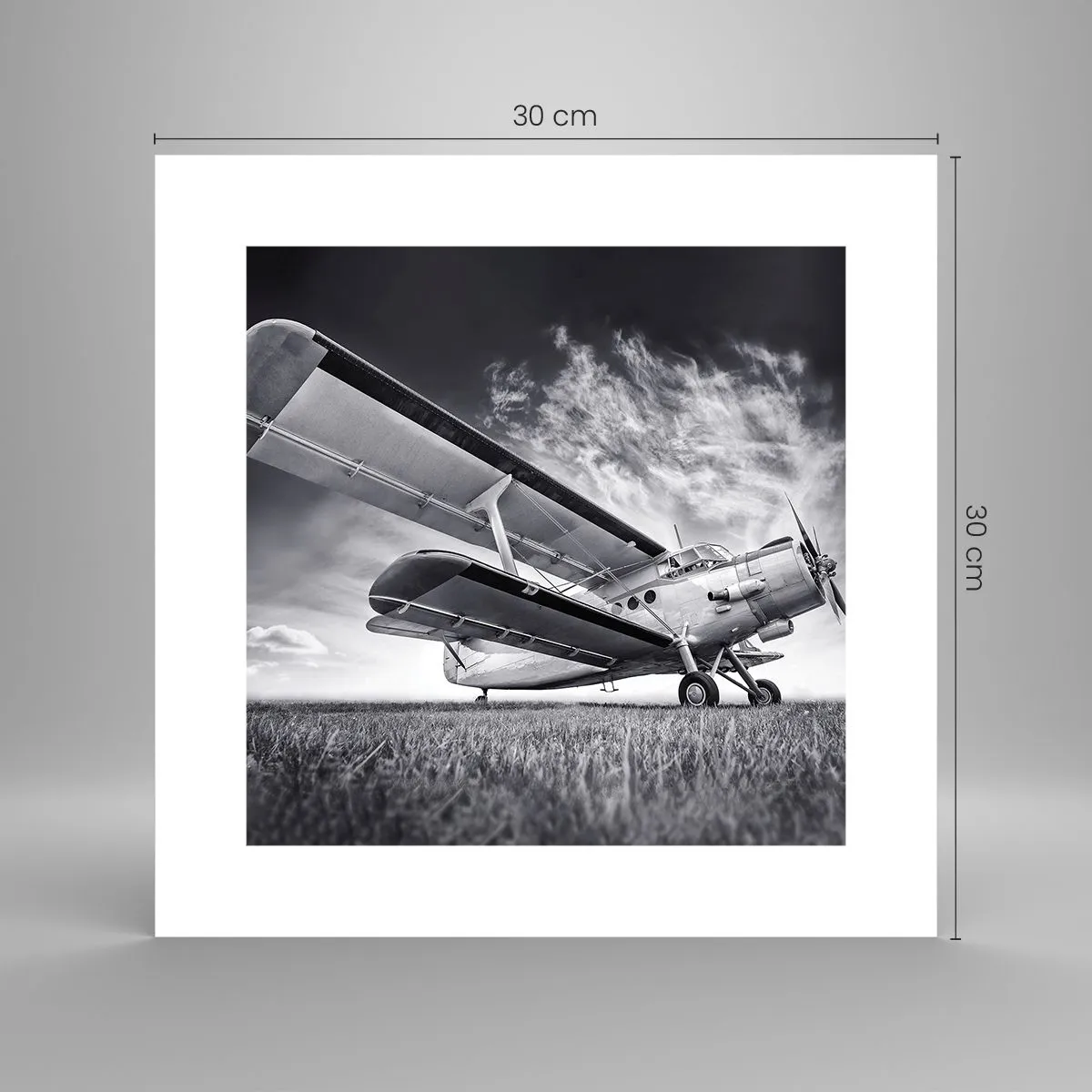 Poster - Der geflügelte Wanderer - 30x30 cm