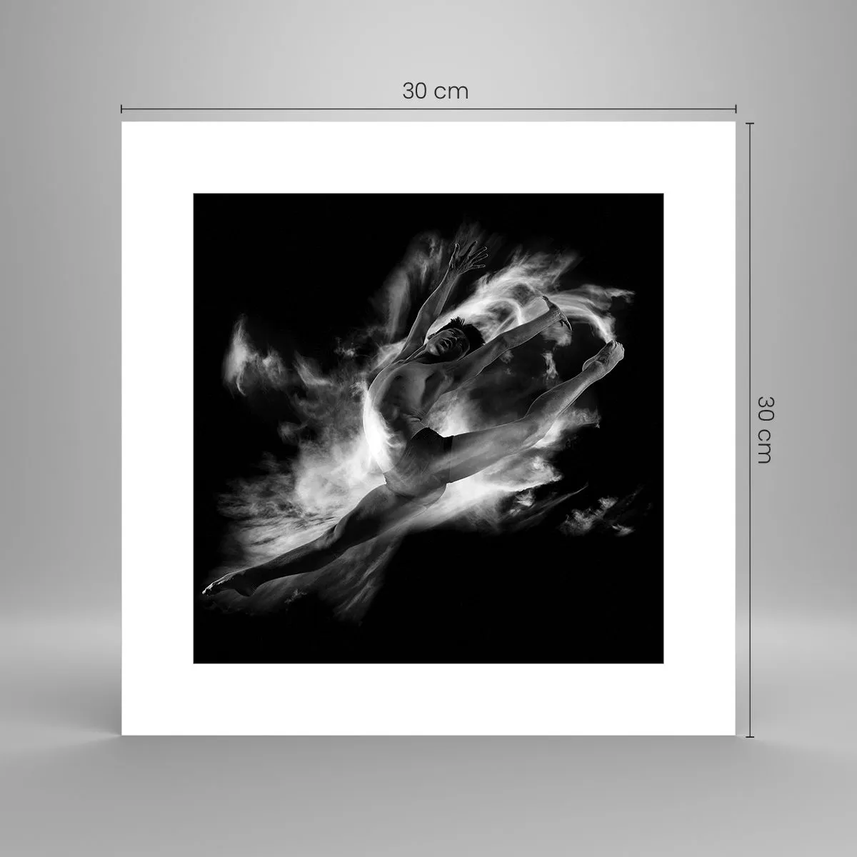 Poster - Oprit în zbor - 30x30 cm