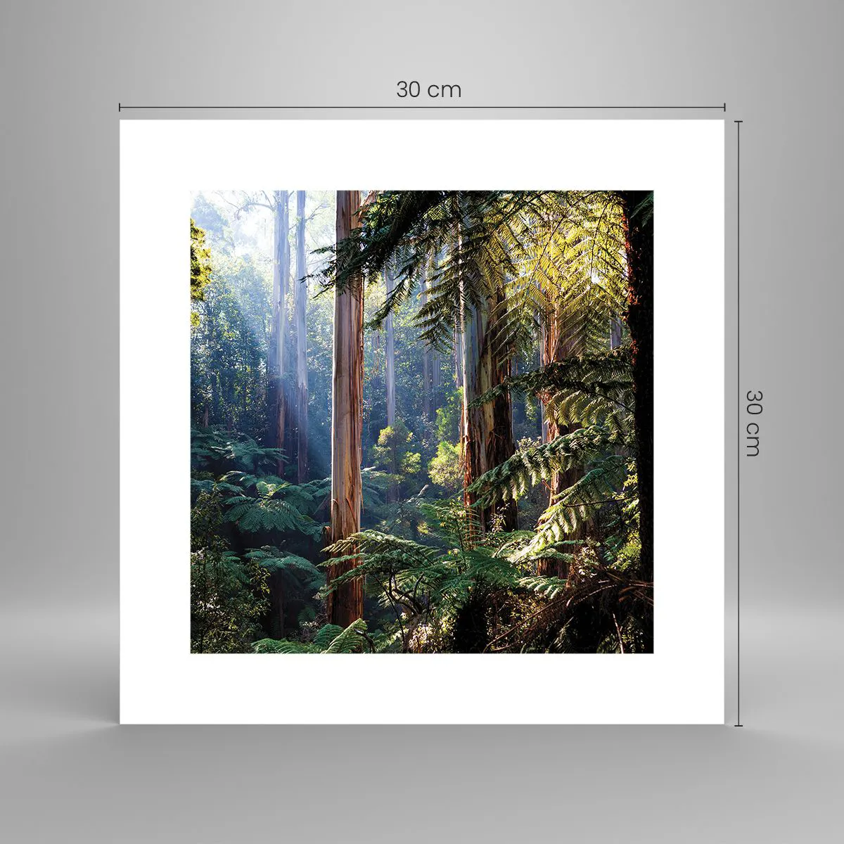 Plakat - Baśń lasu - 30x30 cm