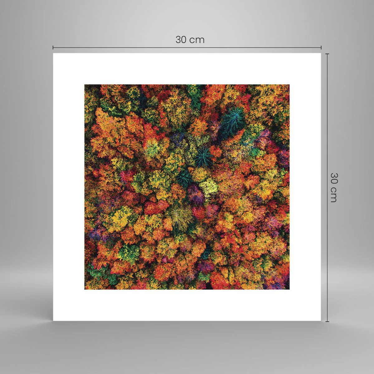 Plakat - Buket af efterårstræer - 30x30 cm