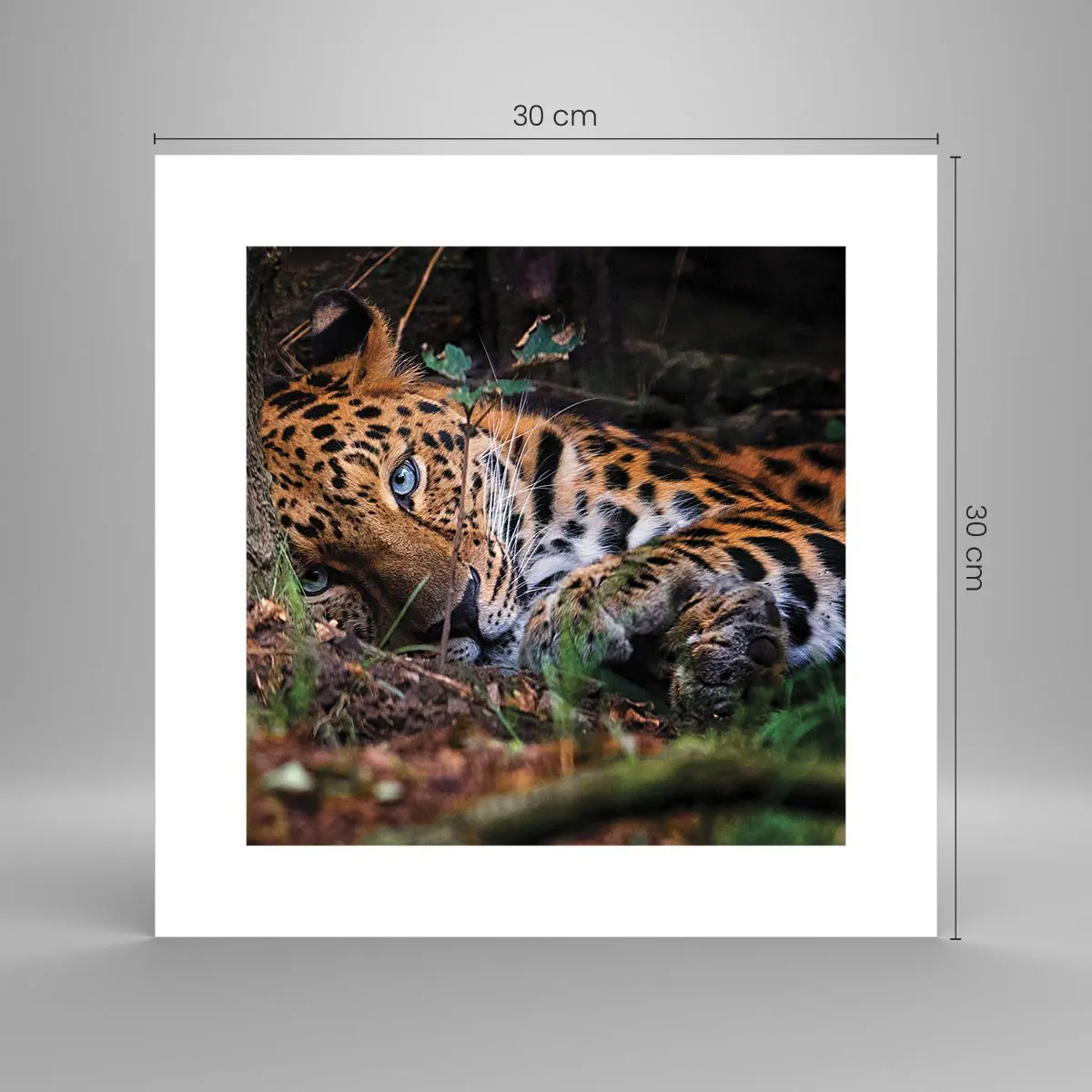 Poster - Geloof me - 30x30 cm