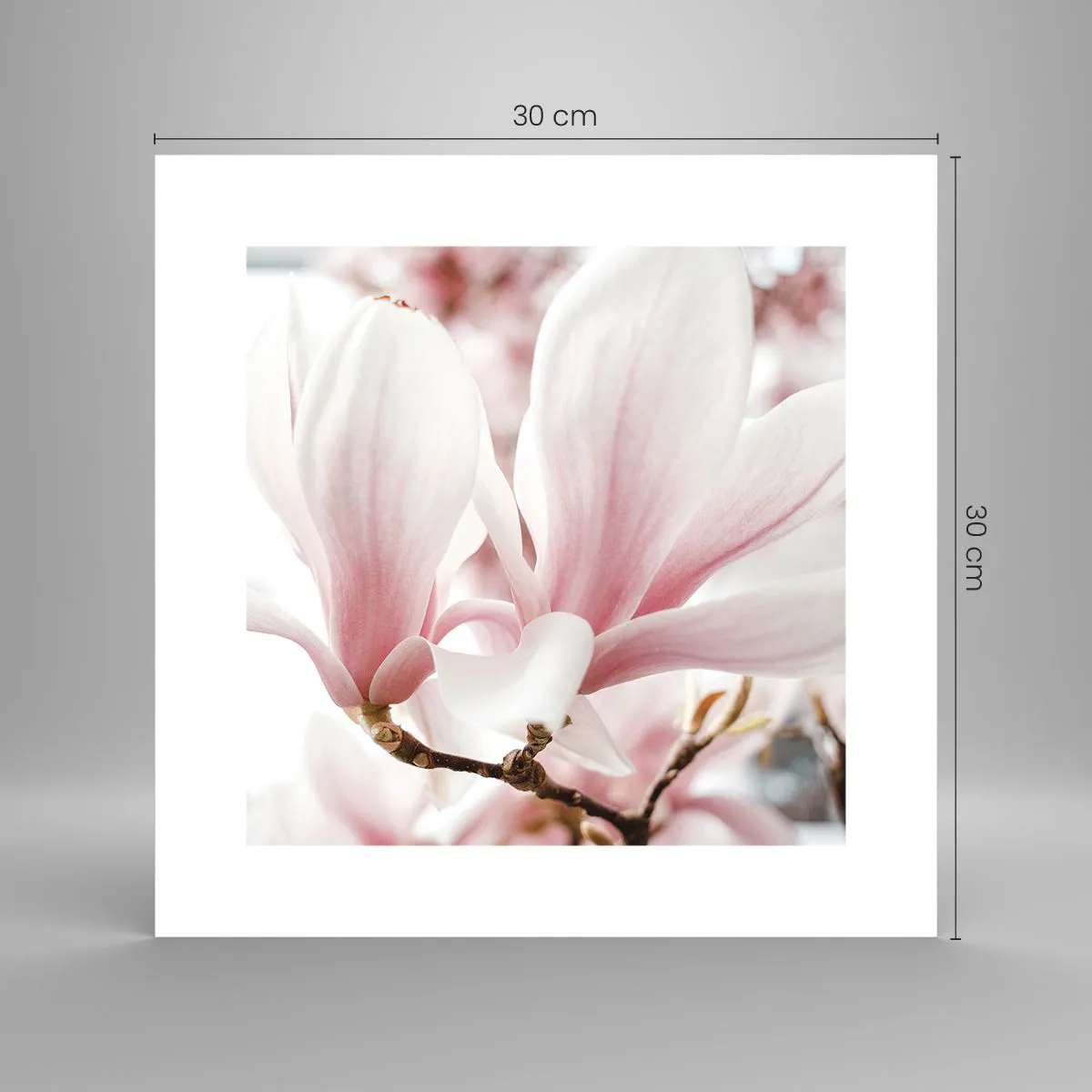 Plakat - Ømhedens umådelighed - 30x30 cm