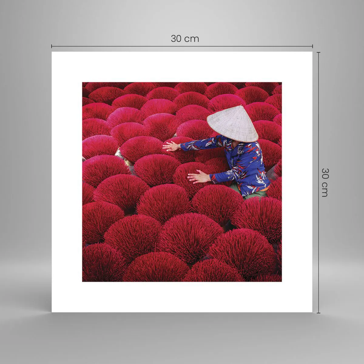 Póster - En un campo de arroz - 30x30 cm