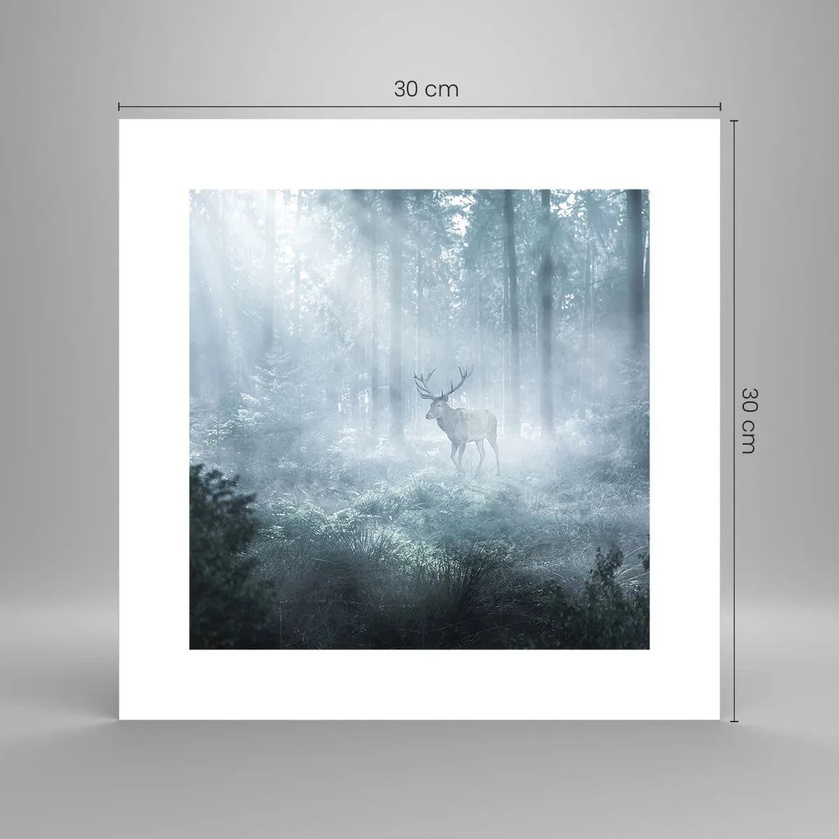 Póster - Ronda matutina por la finca - 30x30 cm