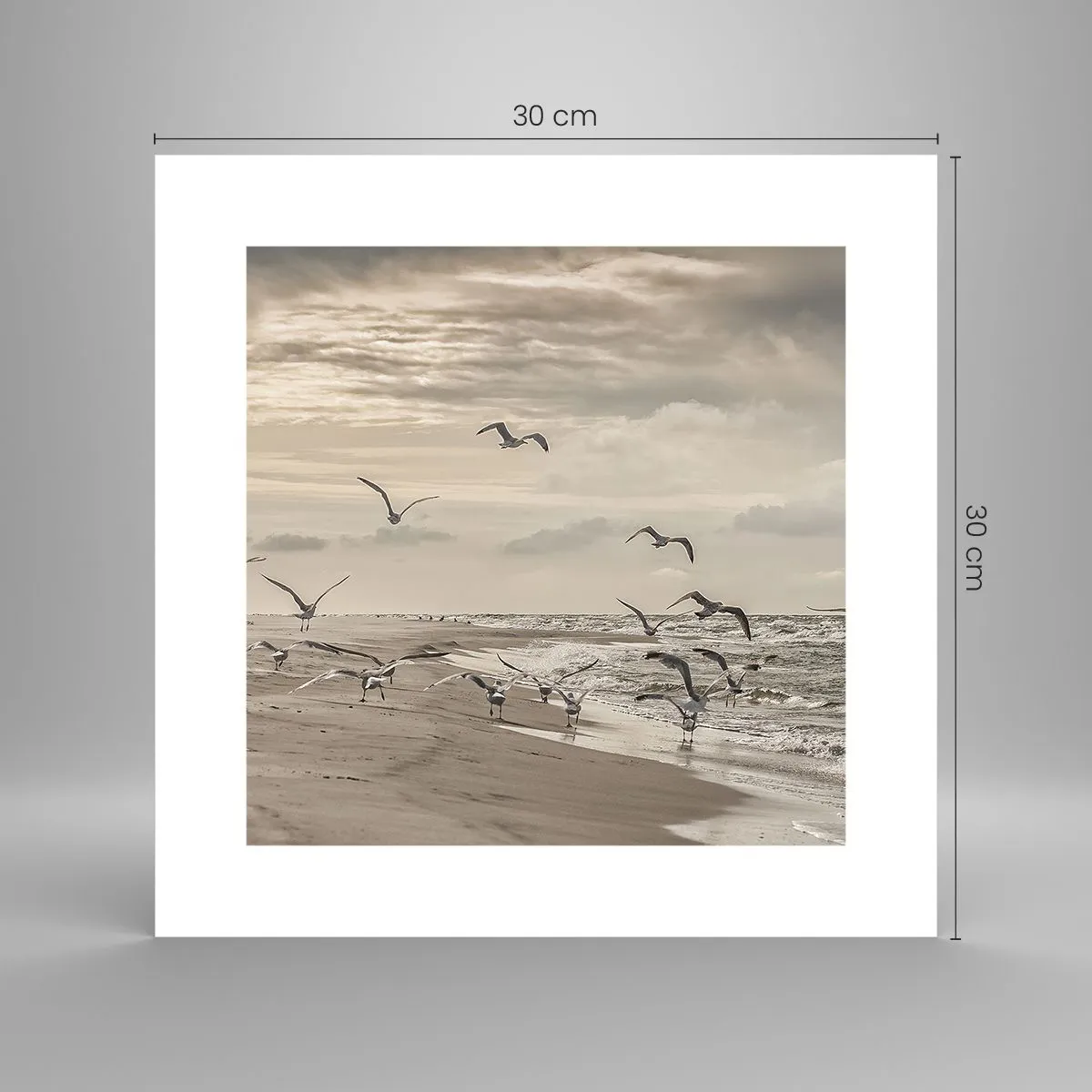 Poszter - A tenger hangja, a madarak éneke - 30x30 cm