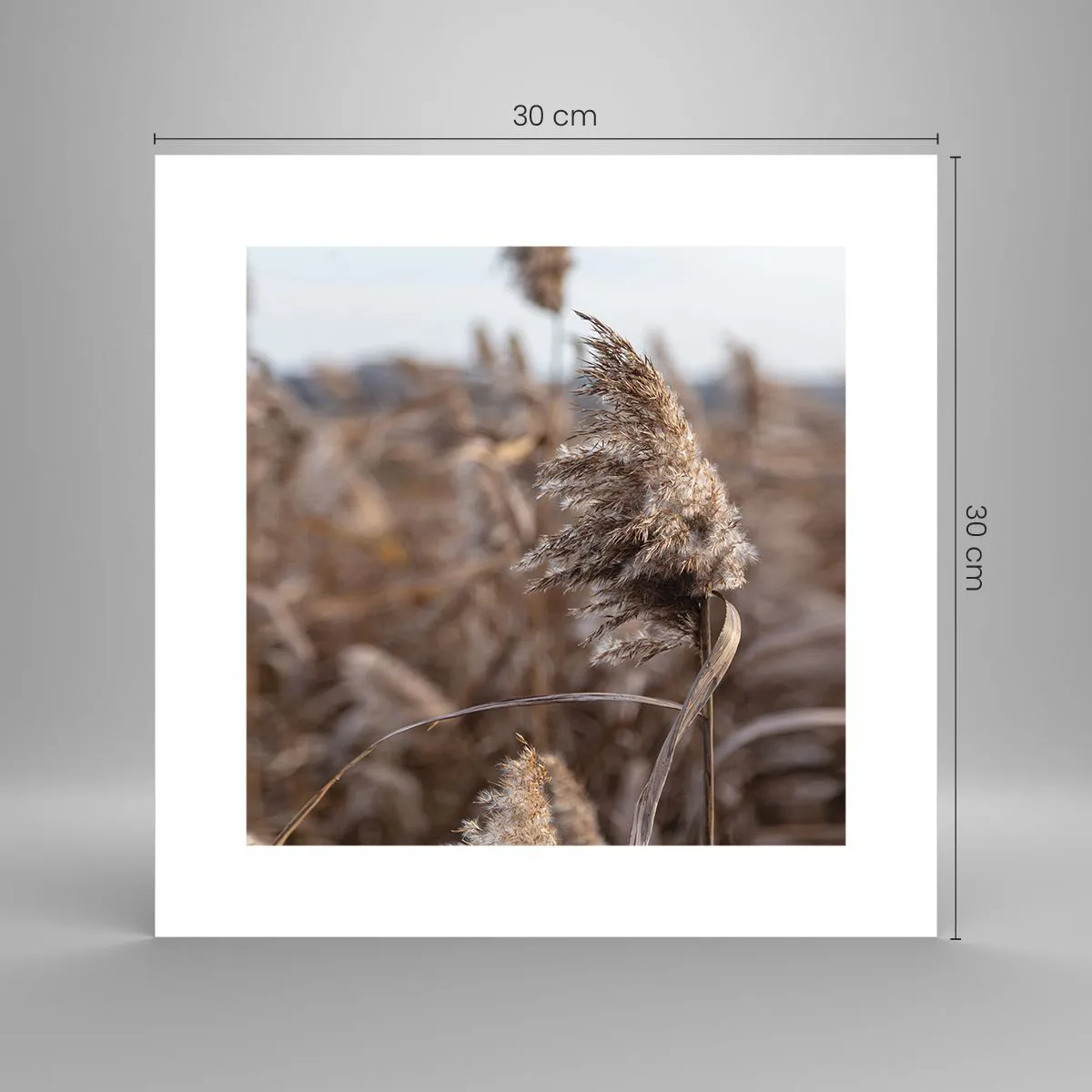 Poszter - Ideje elrepülni a széllel - 30x30 cm