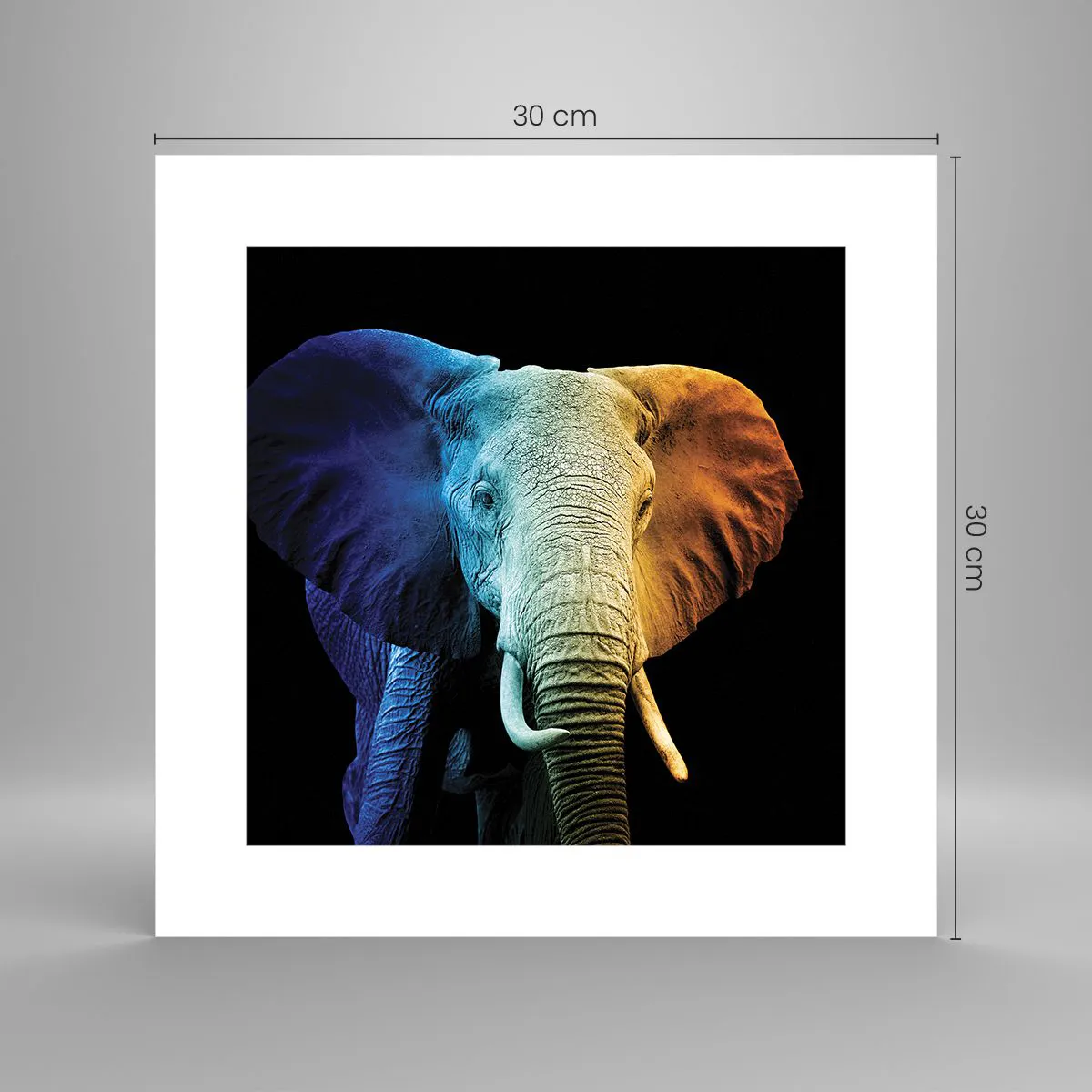 Poster - Exzentrisch, kein Verrückter - 30x30 cm