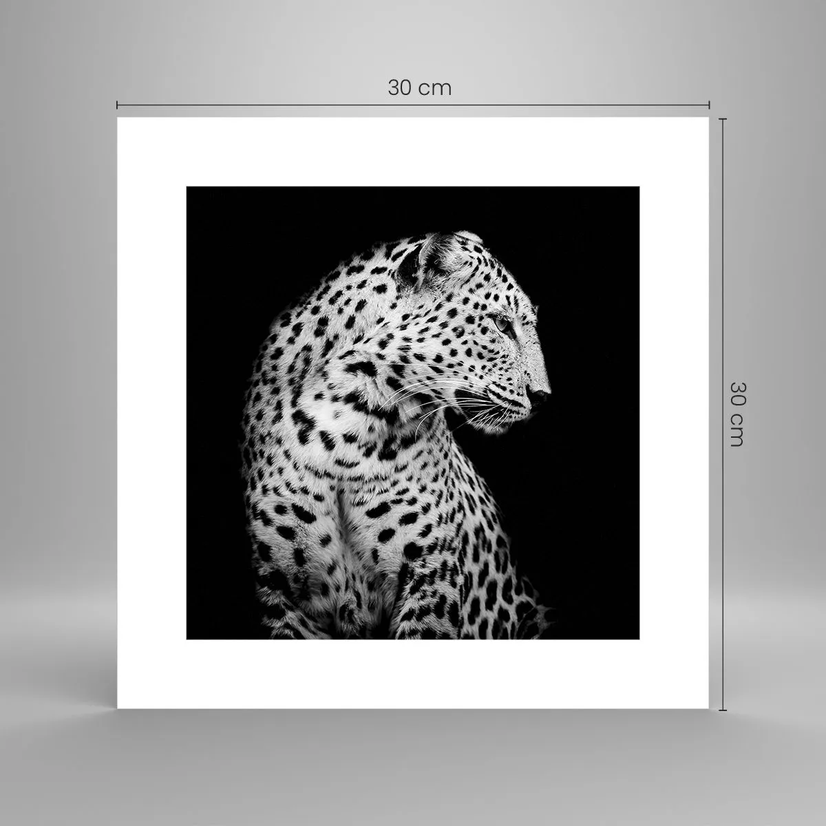 Affiche - Poster - Presque un profil parfait! - 30x30 cm