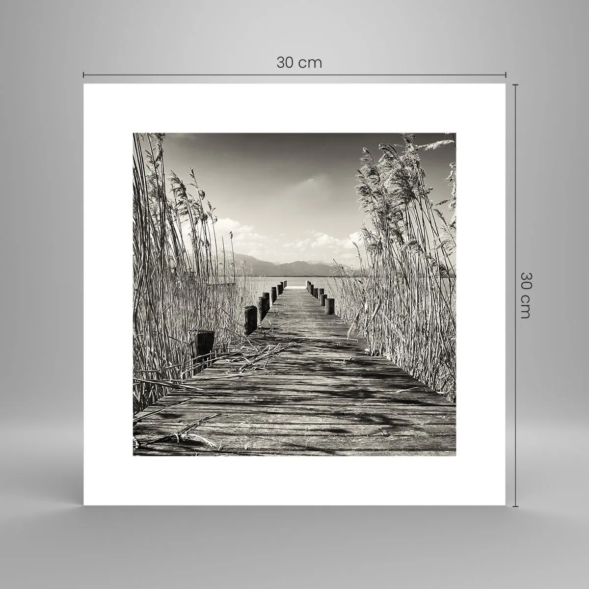 Affiche - Poster - Dans le calme de l'herbe - 30x30 cm