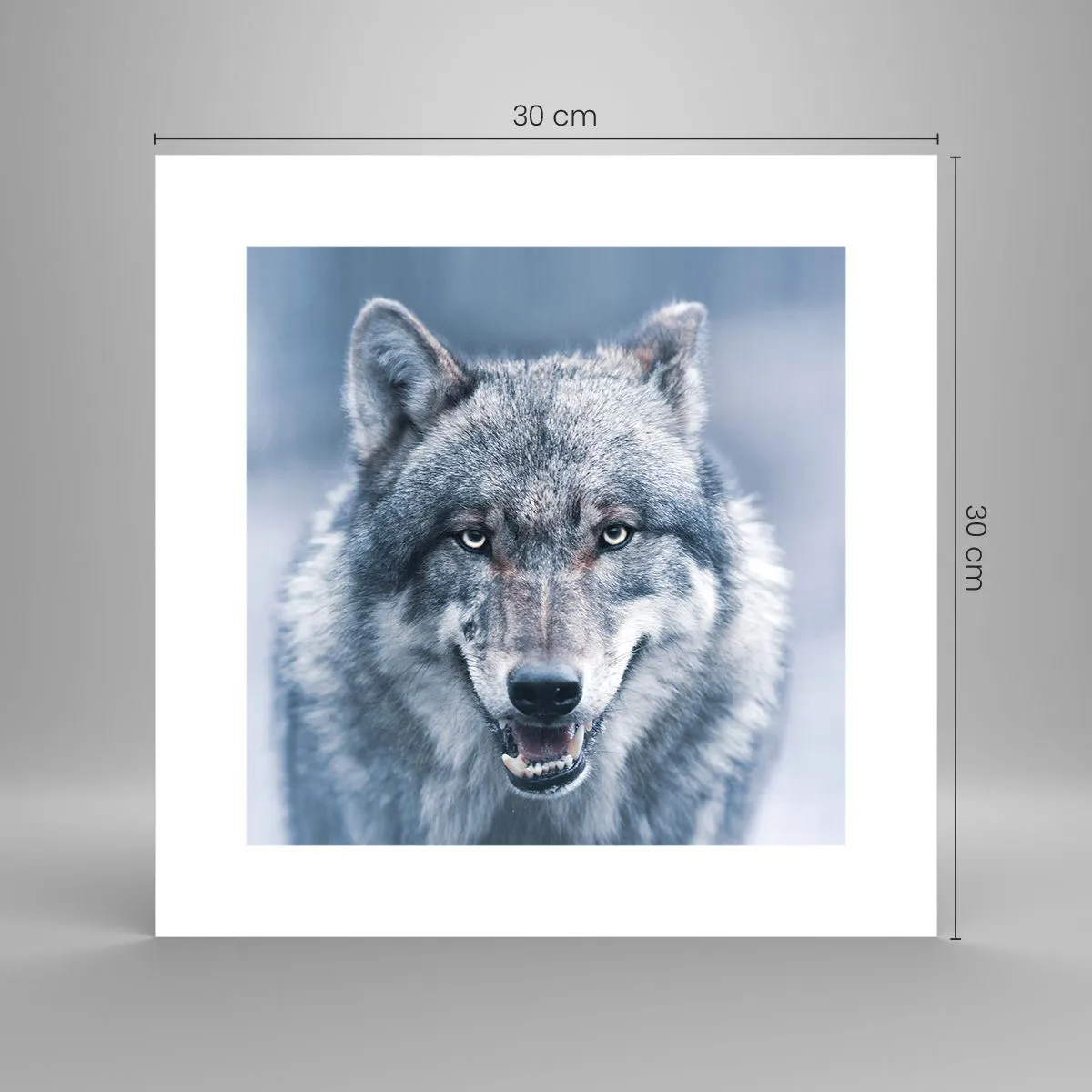 Pôster - Vai aceitar o desafio? - 30x30 cm