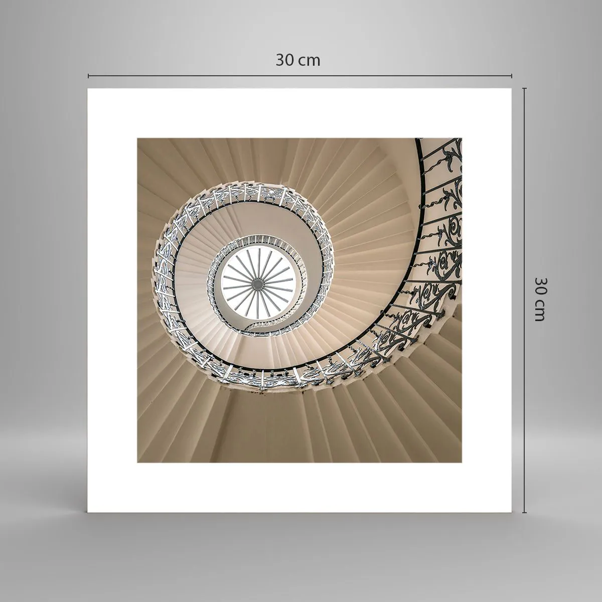 Poster - Inside the Shell - 30x30 cm