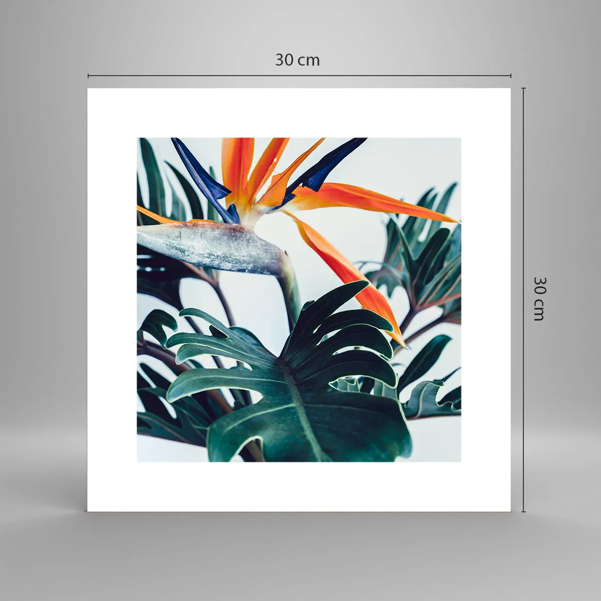 Pôster - Arbusto de passarinho - 30x30 cm