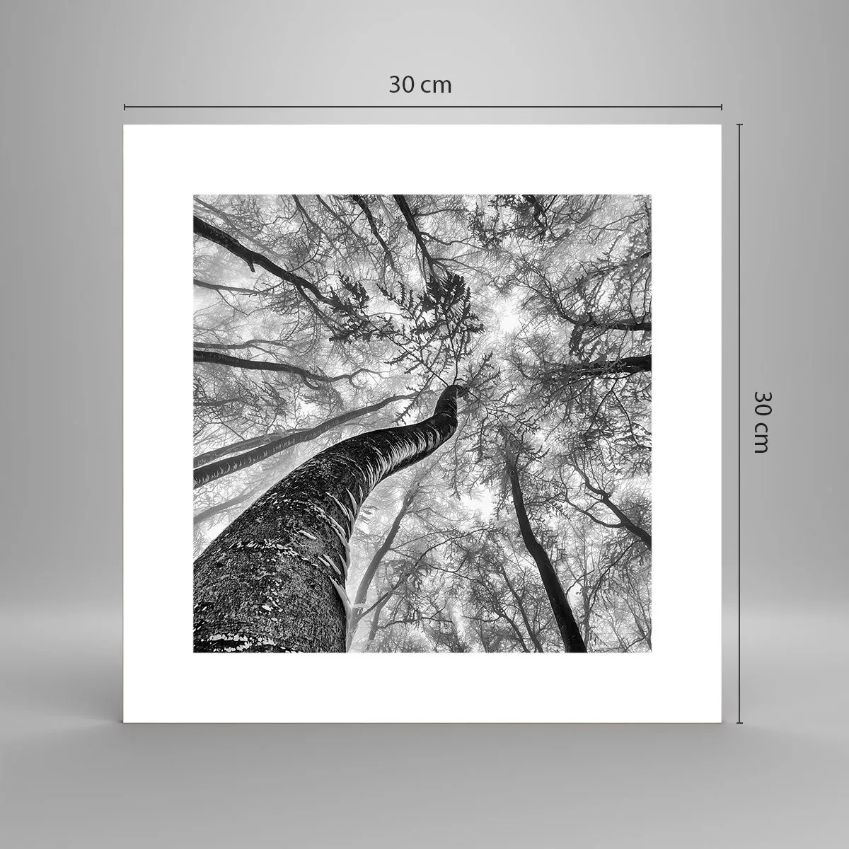 Plakat - Kapløb mod lyset - 30x30 cm