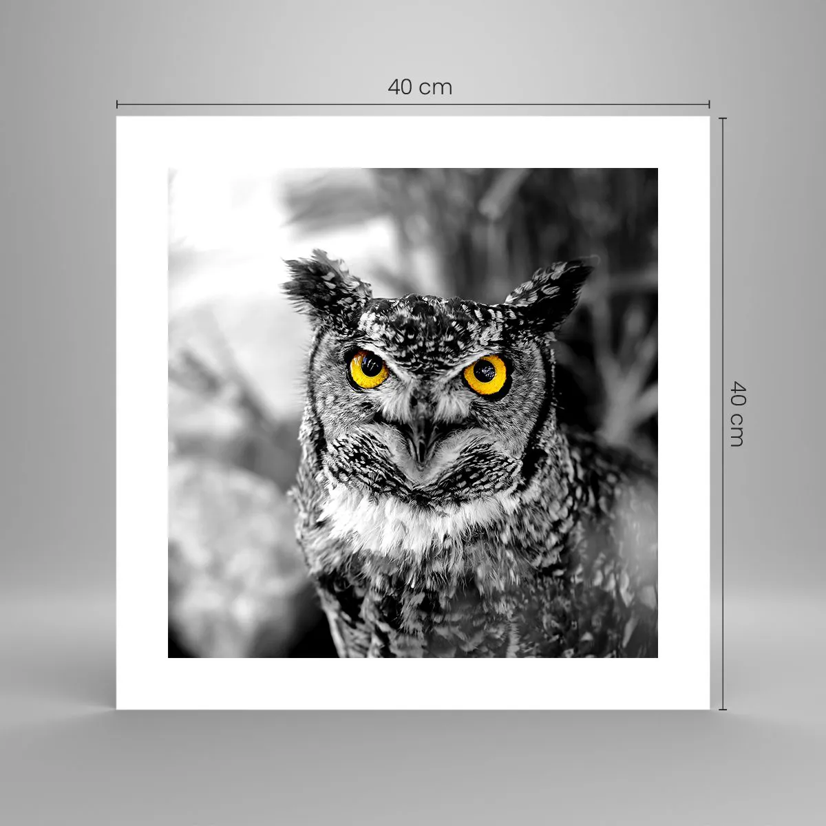 Affiche - Poster - Rien ne se cachera - 40x40 cm