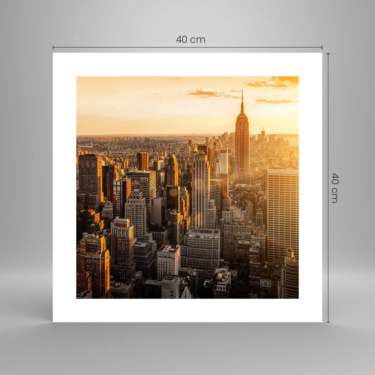 Plagát - Rast na slnku - 40x40 cm