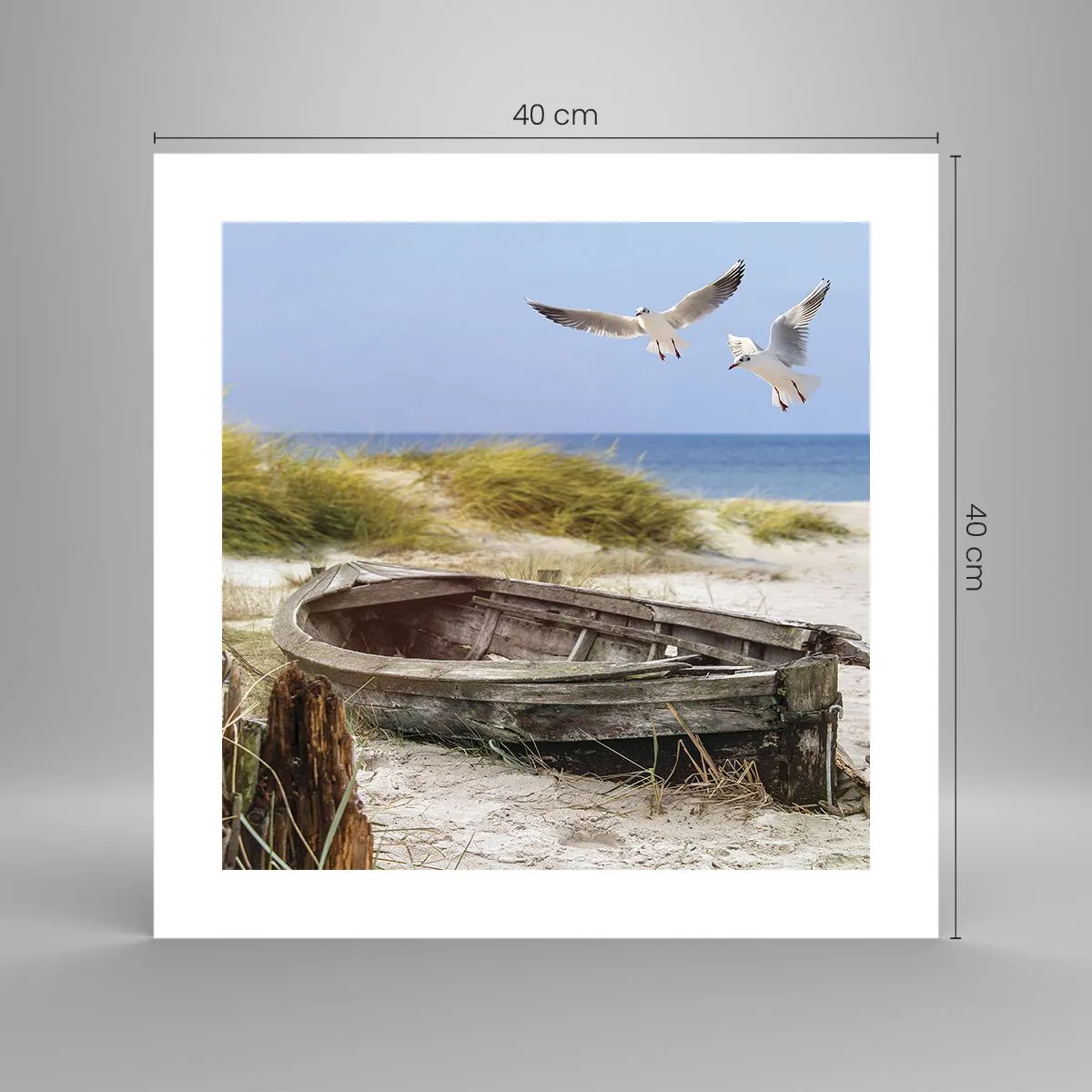 Poszter - Szélben fürödve - 40x40 cm