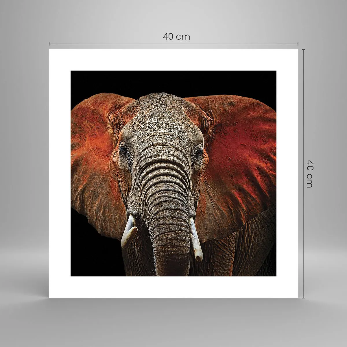 Poster - I am Wild, and You? - 40x40 cm