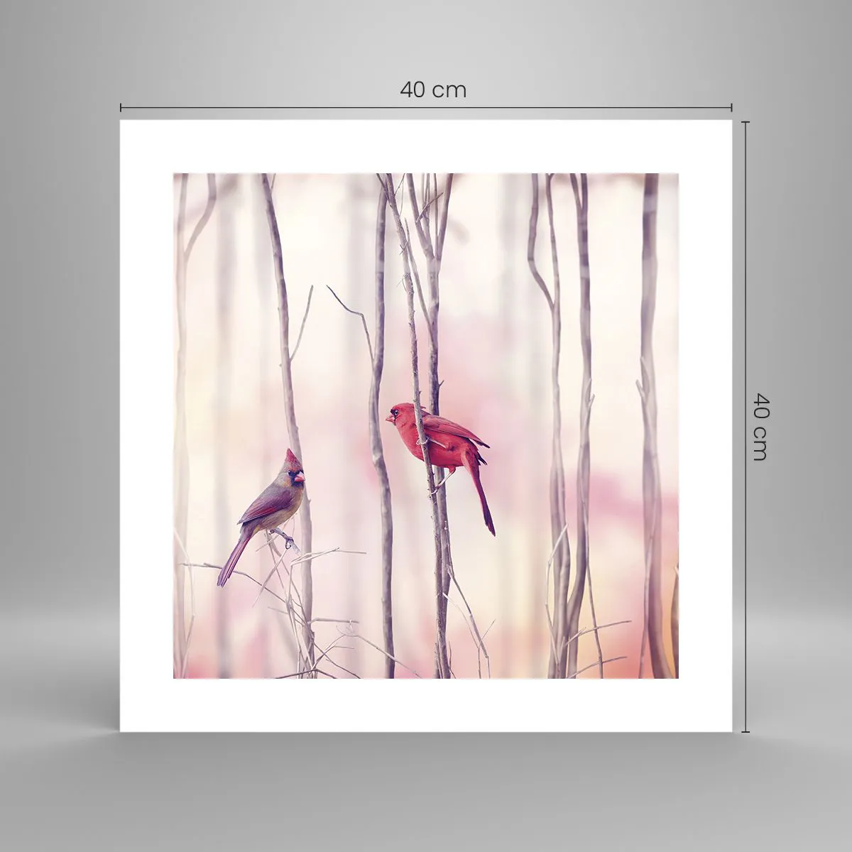 Poszter - Rózsaszín erdő története - 40x40 cm