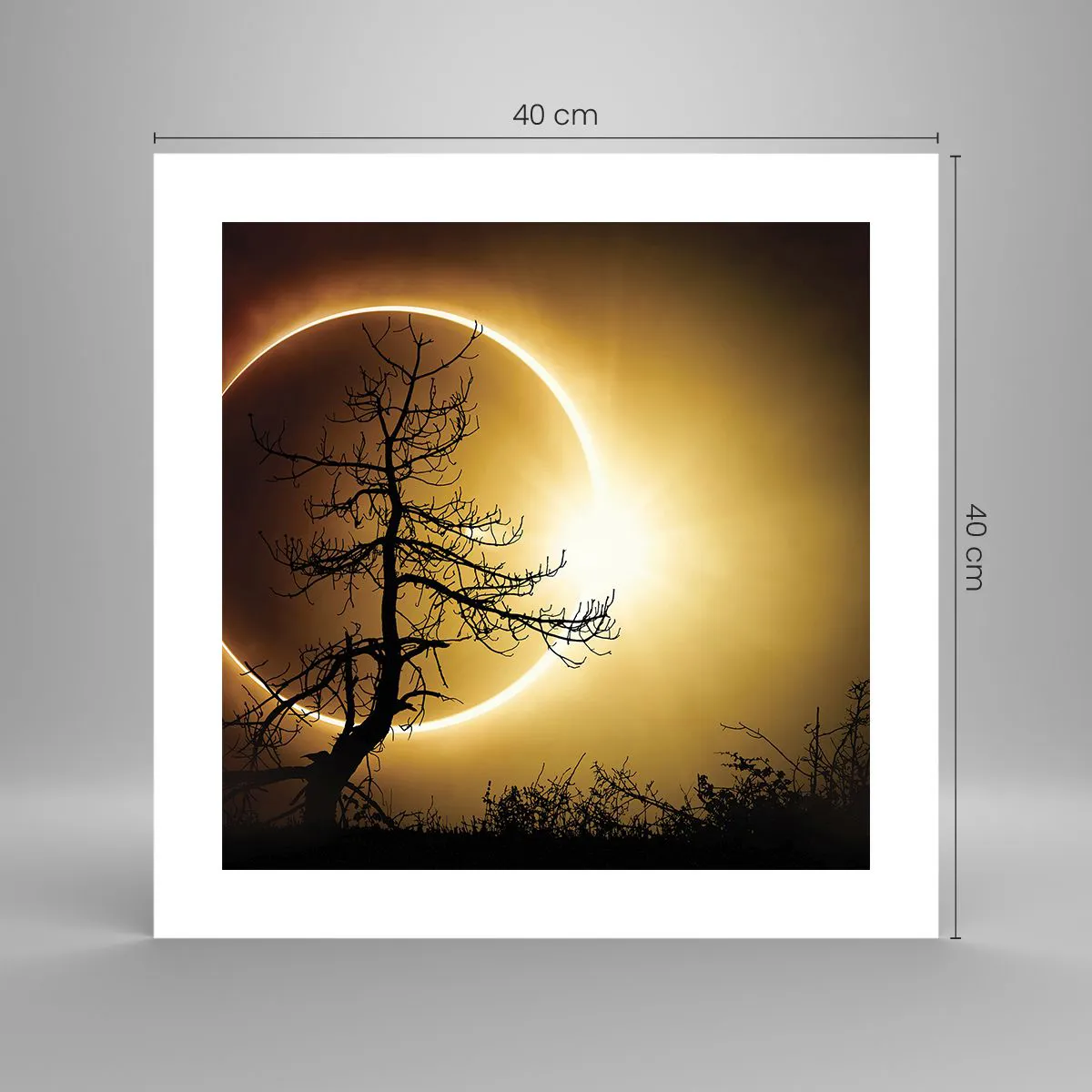 Plakat - Total formørkelse - 40x40 cm
