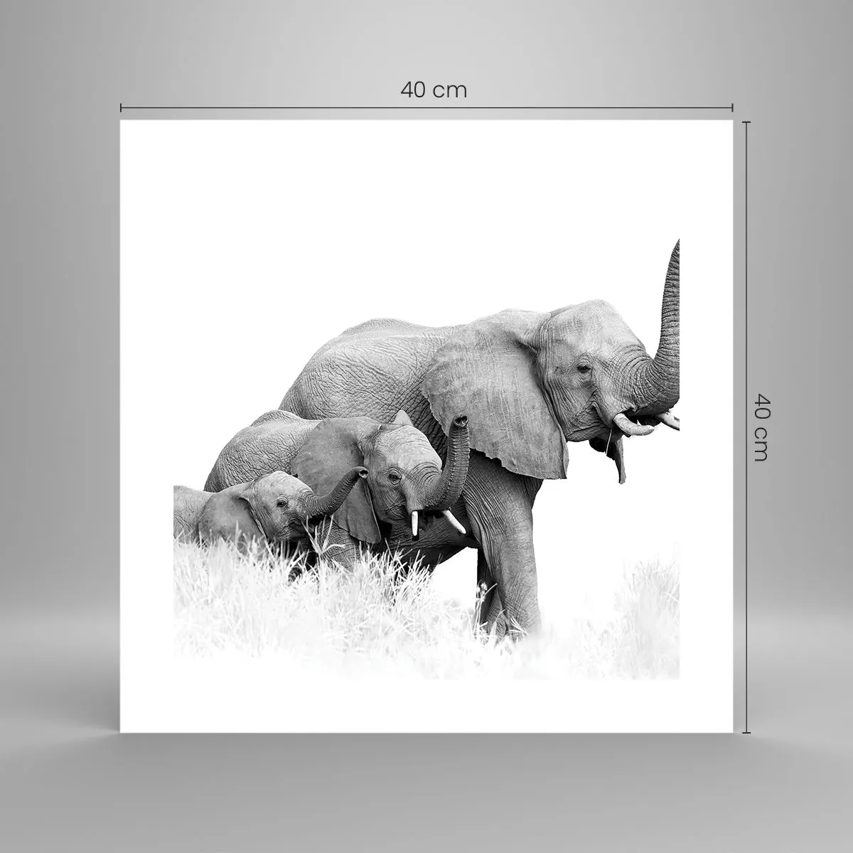 Plakát - Jedna, dvě, tři - 40x40 cm