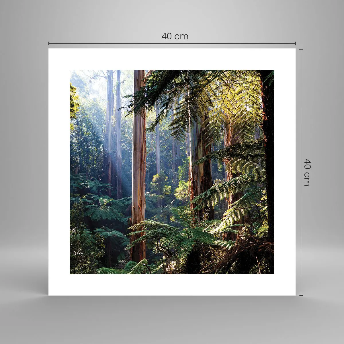 Plakát - Povídka lesa - 40x40 cm