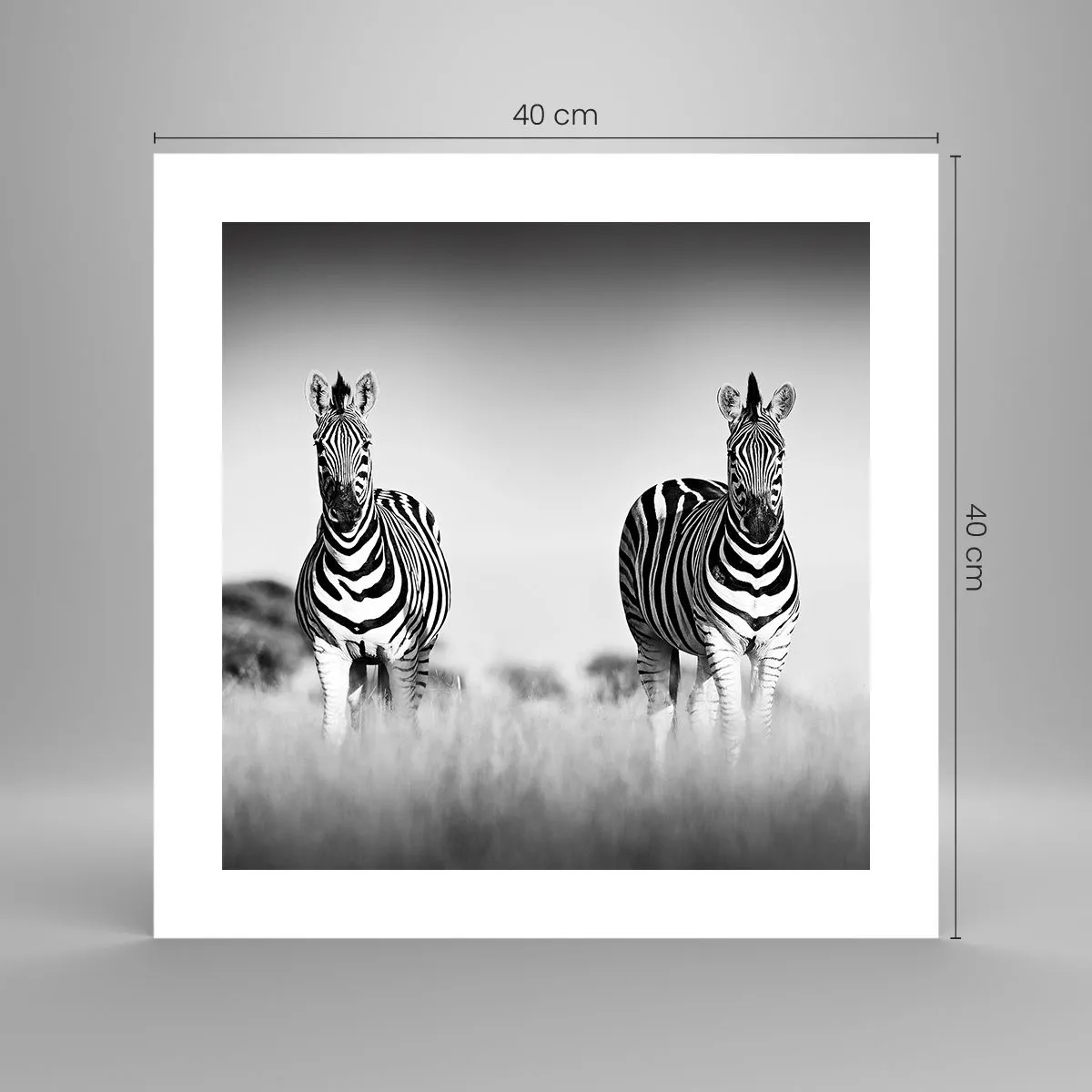 Plakat - Og alligevel er verden sort og hvid - 40x40 cm