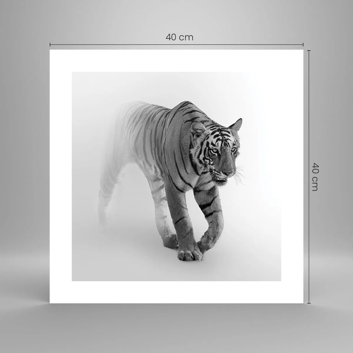 Poster - Crouching in Fog - 40x40 cm