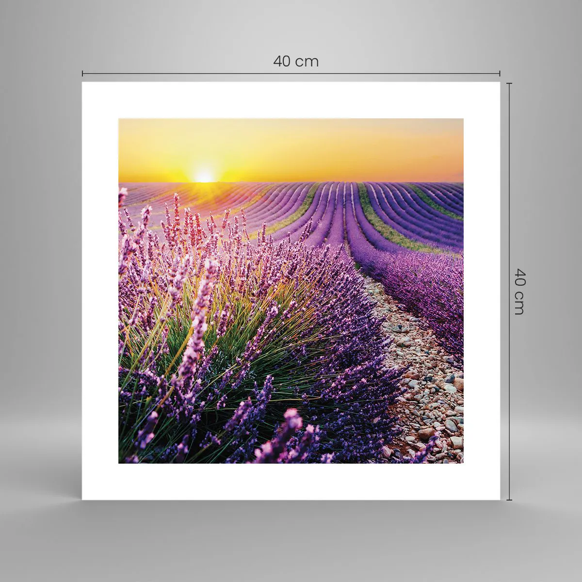 Póster - Pradera fragante - 40x40 cm