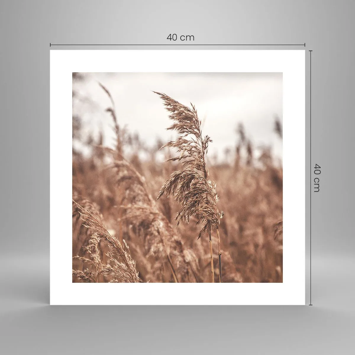 Plakát - Na polích už je podzim - 40x40 cm