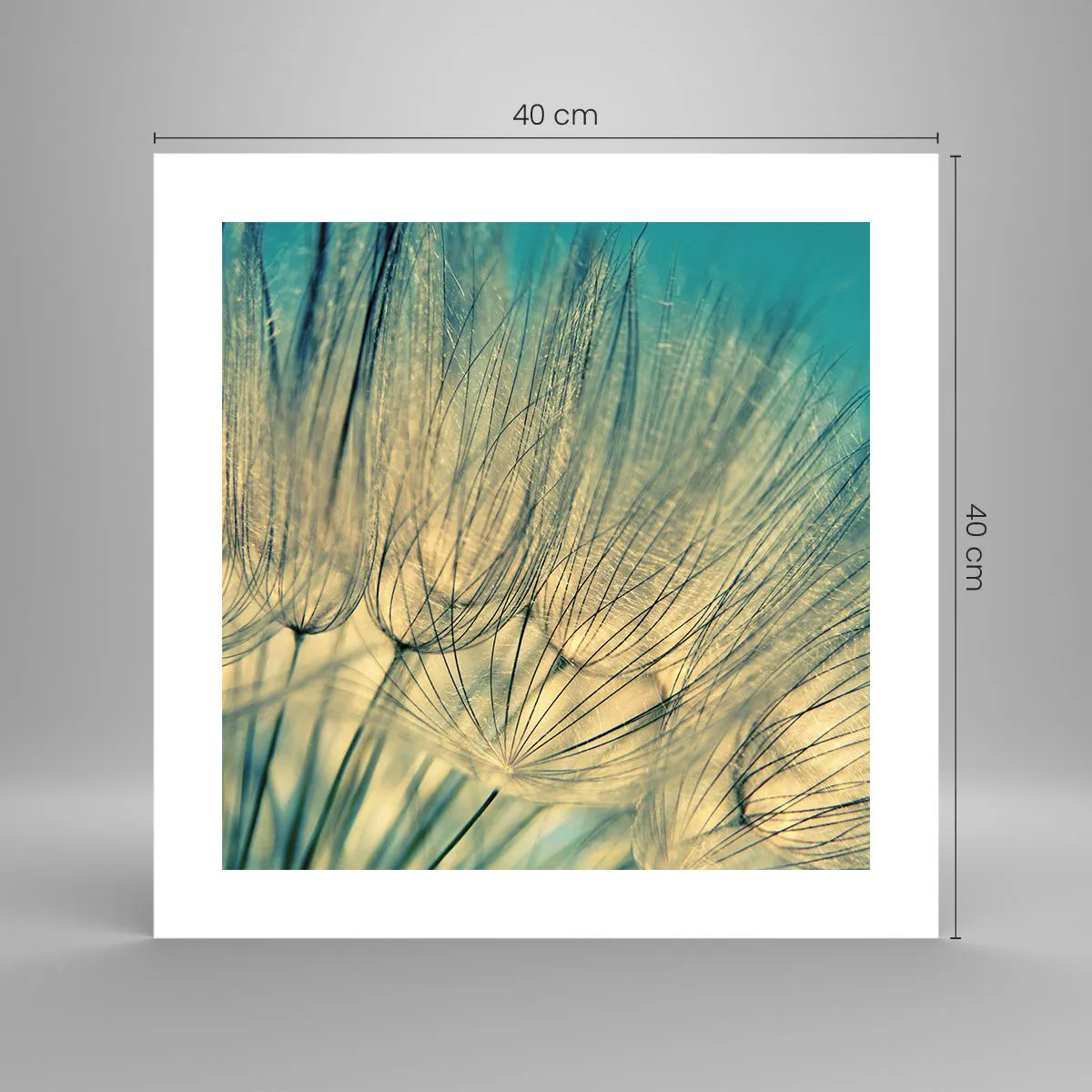 Plagát - Čakanie na vietor - 40x40 cm