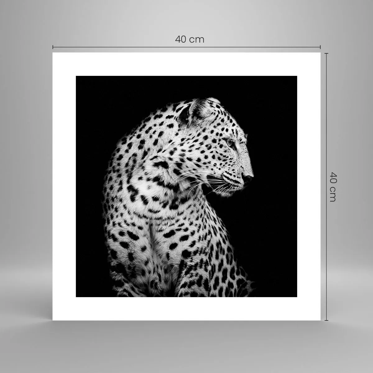 Affisch - Perfekt höger profil! - 40x40 cm