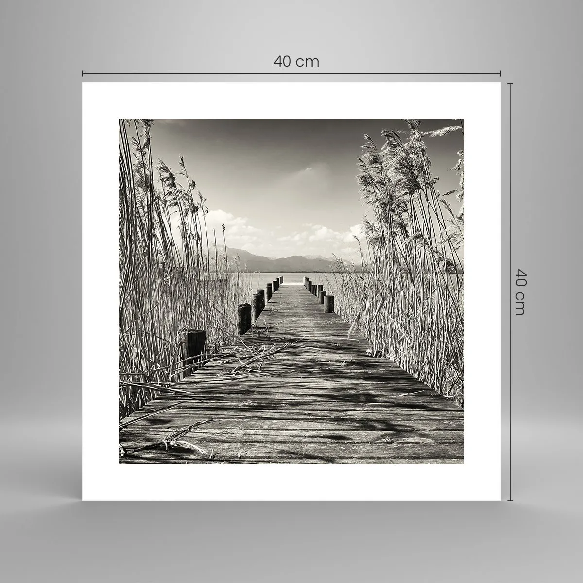 Affiche - Poster - Dans le calme de l'herbe - 40x40 cm