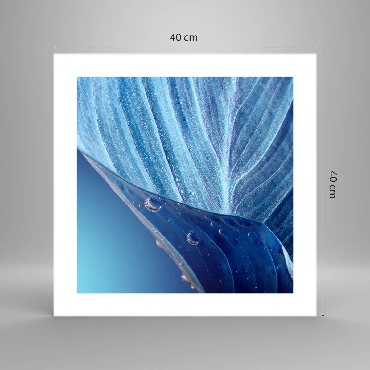 Poster - Picături ascunse de albastru - 40x40 cm