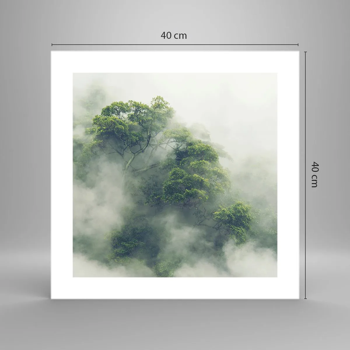 Affiche - Poster - Enveloppé de brouillard - 40x40 cm